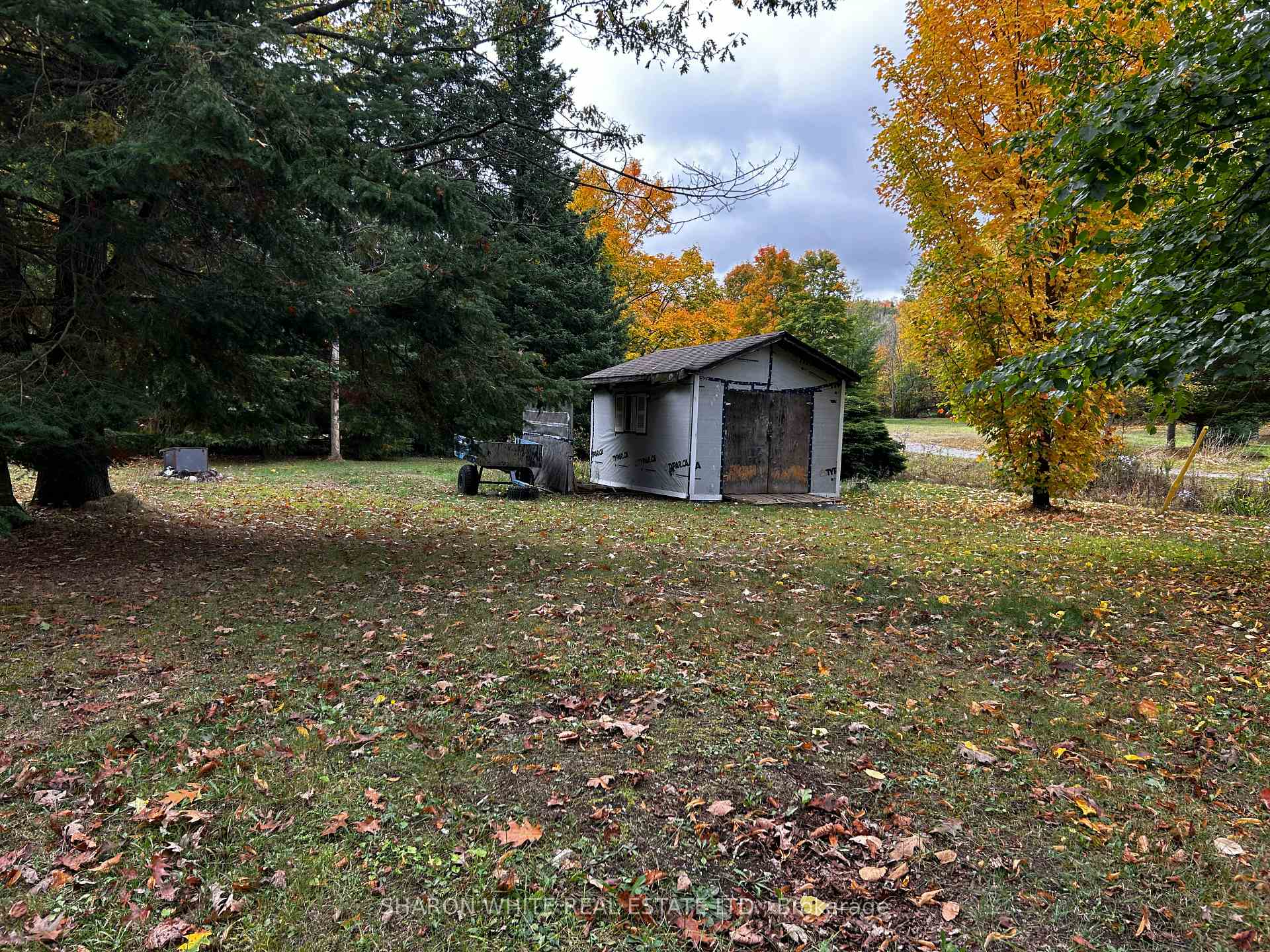 Photo 3 of 62 Otter Lake Road, Faraday — HOMEH