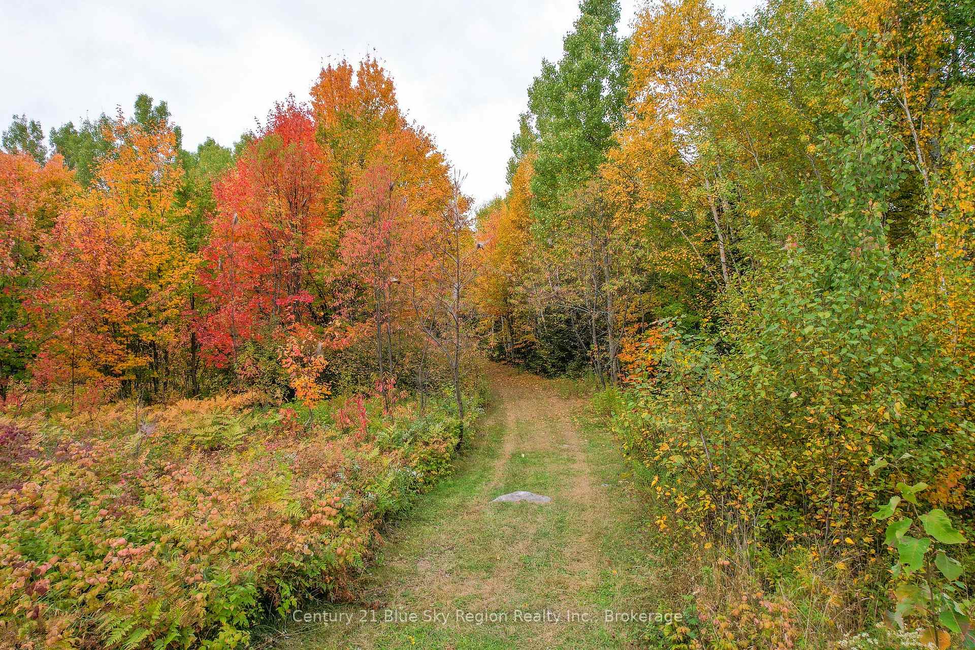 Photo 95 of 408 Lindquist Line, Powassan — HOMEH