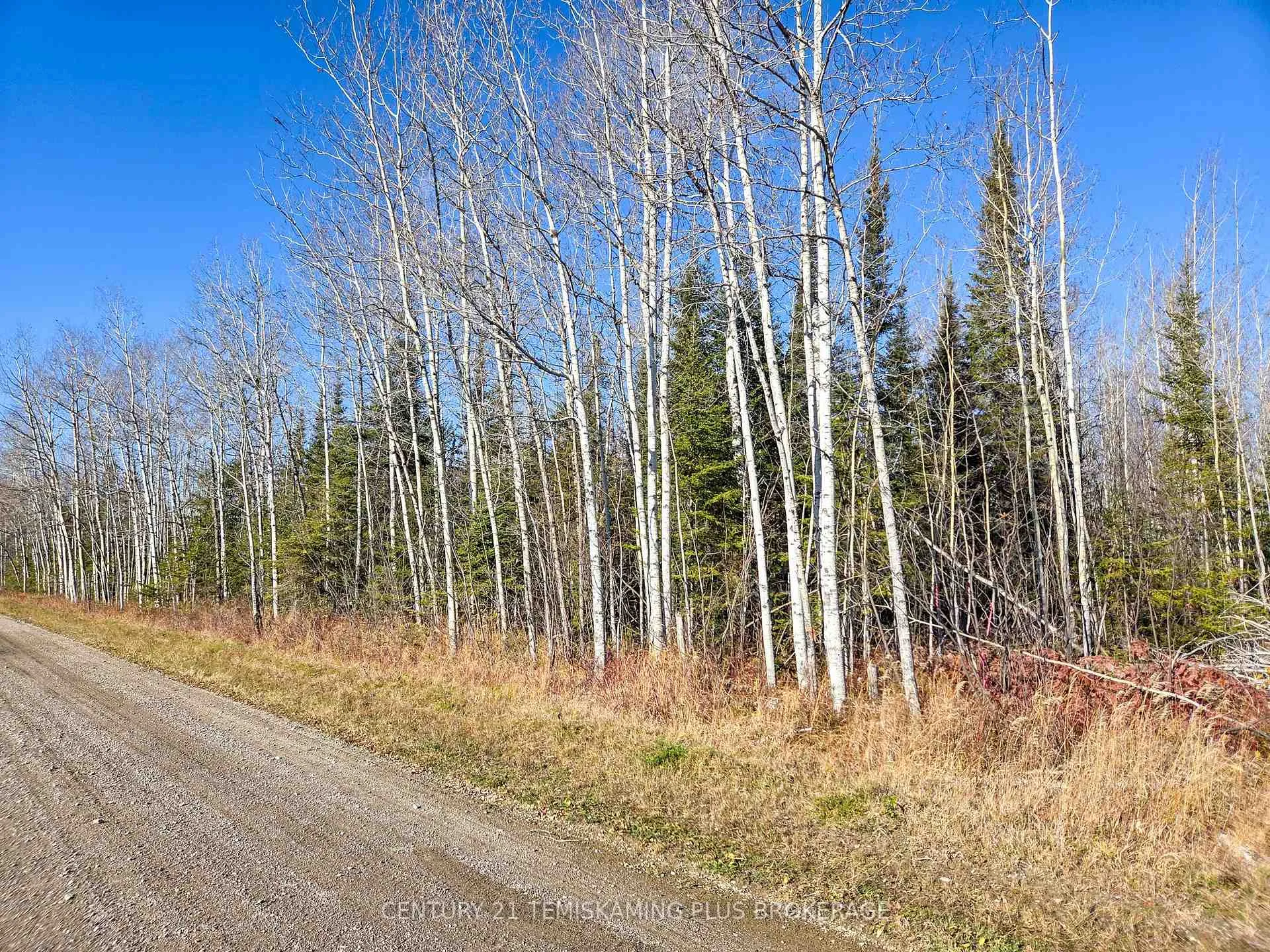 Photo 2 of PT 4 Cabin Road, Englehart, Central Timiskaming — HOMEH