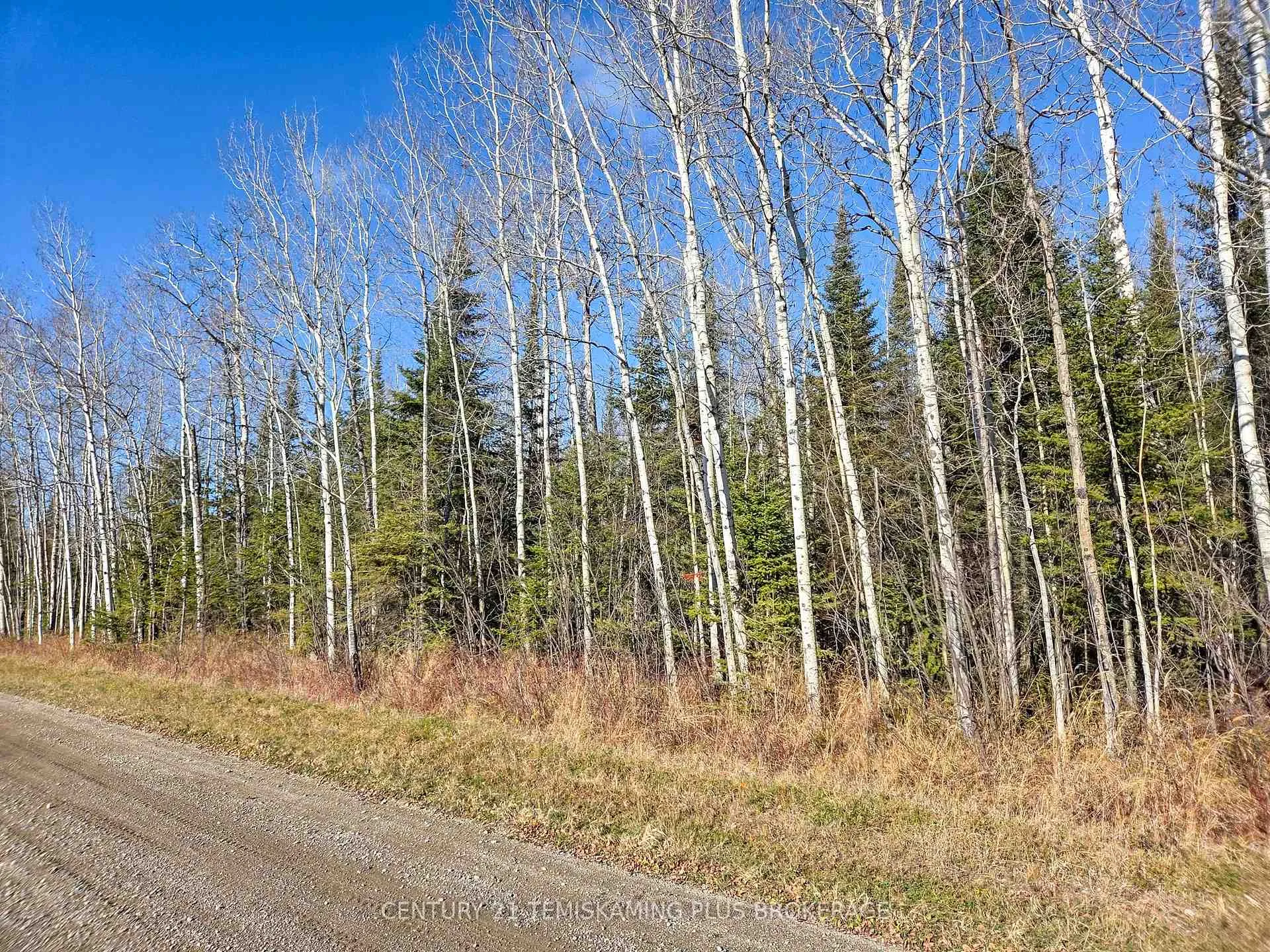 Photo 3 of PT 4 Cabin Road, Englehart, Central Timiskaming — HOMEH