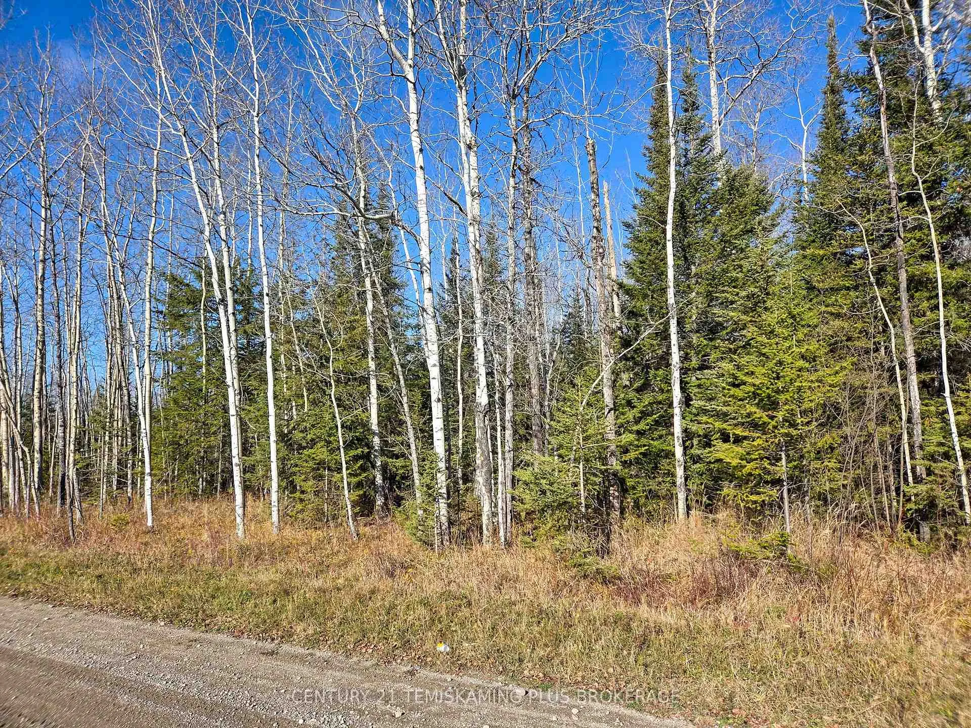 Photo 4 of PT 4 Cabin Road, Englehart, Central Timiskaming — HOMEH