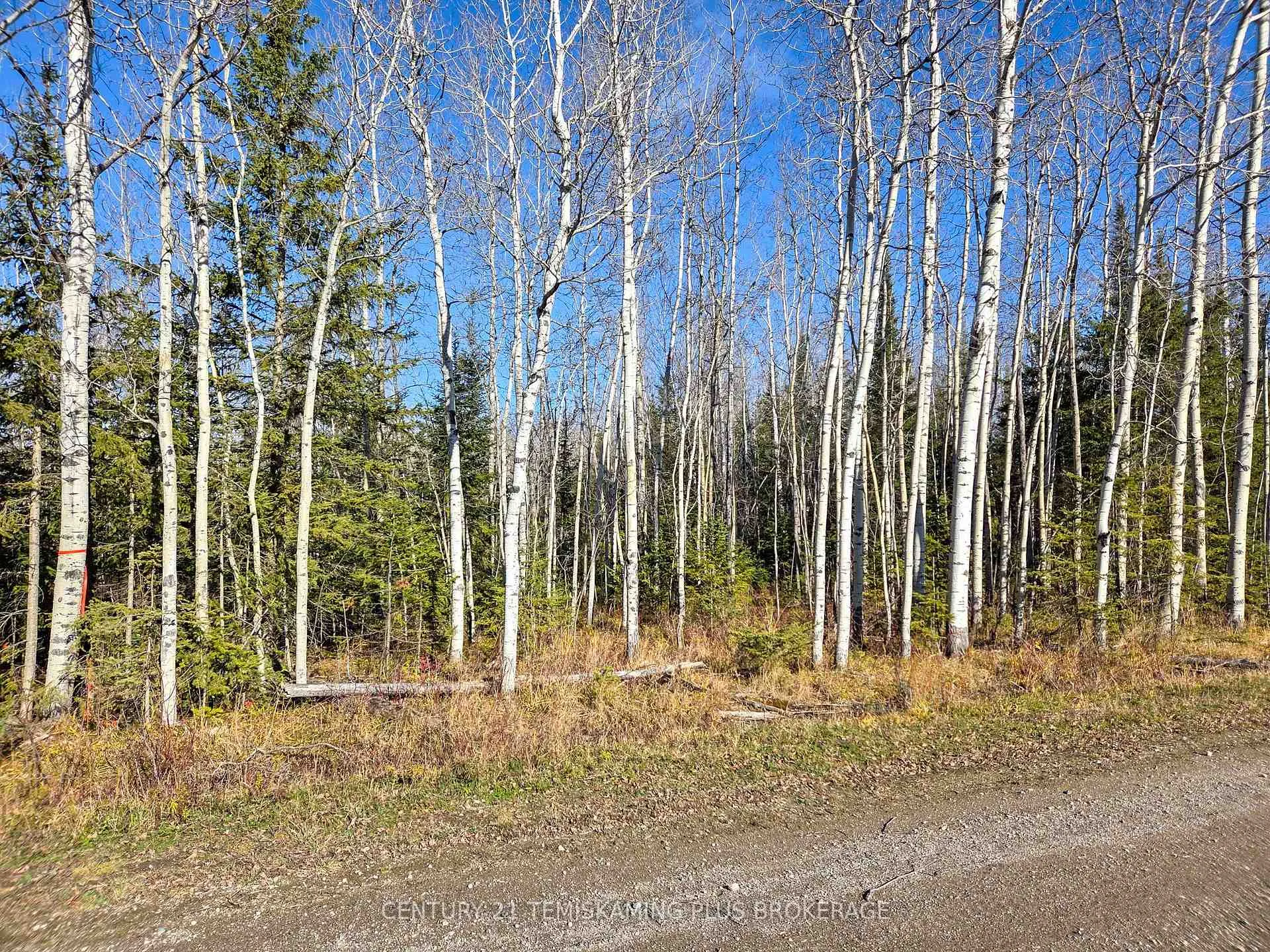 Photo 5 of PT 4 Cabin Road, Englehart, Central Timiskaming — HOMEH