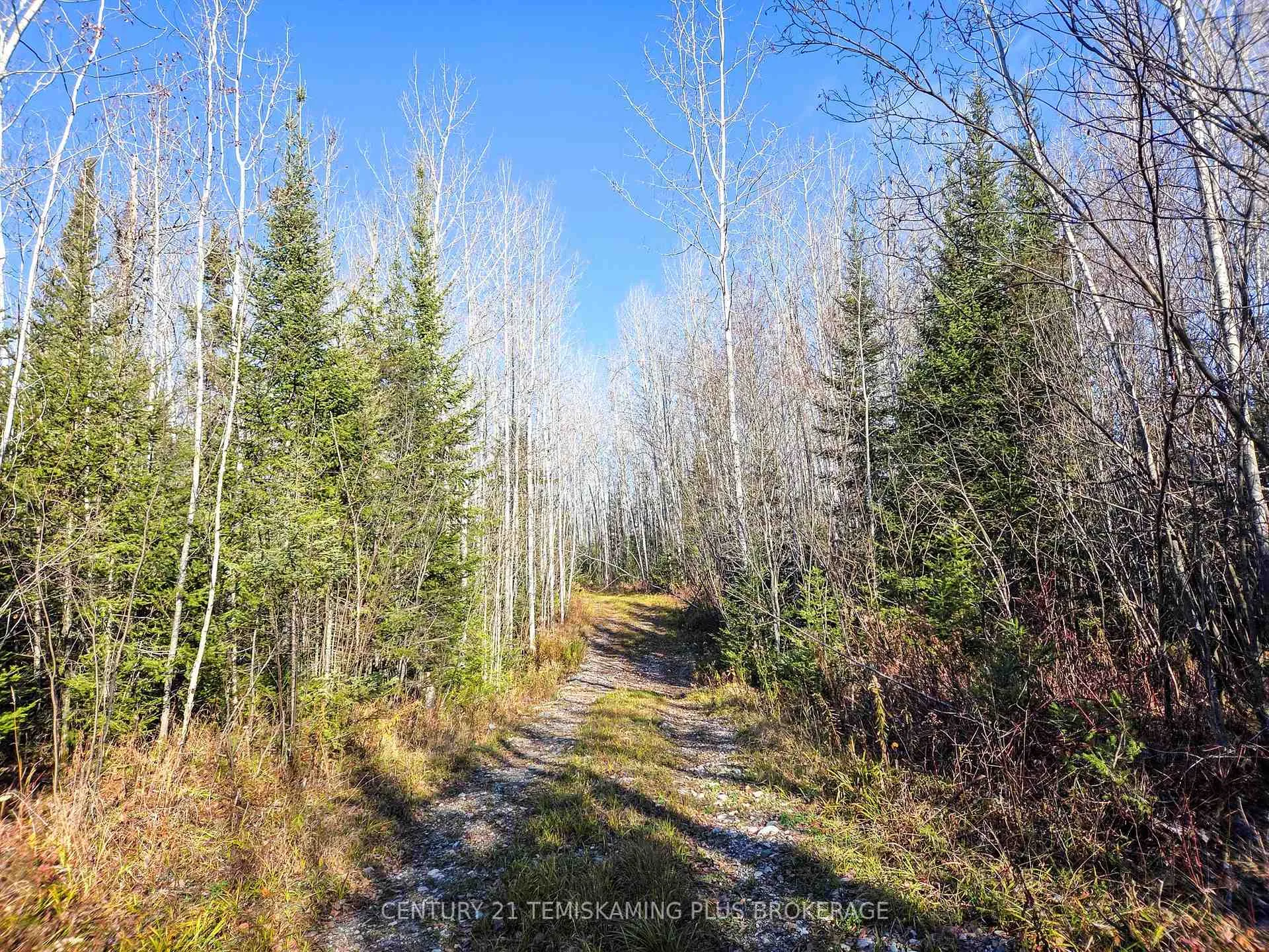 Photo 8 of PT 4 Cabin Road, Englehart, Central Timiskaming — HOMEH