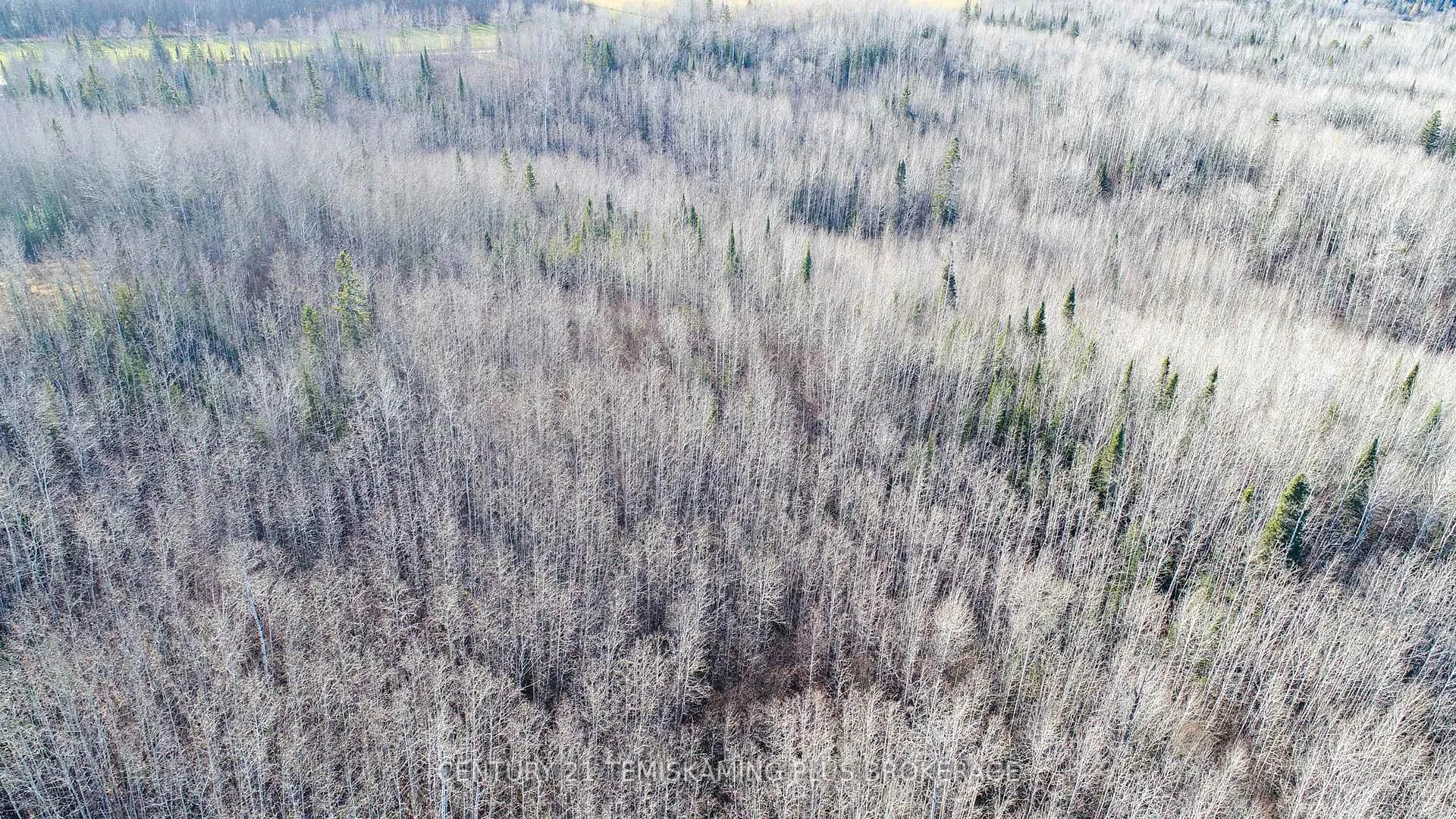 Photo 20 of PT 4 Cabin Road, Englehart, Central Timiskaming — HOMEH
