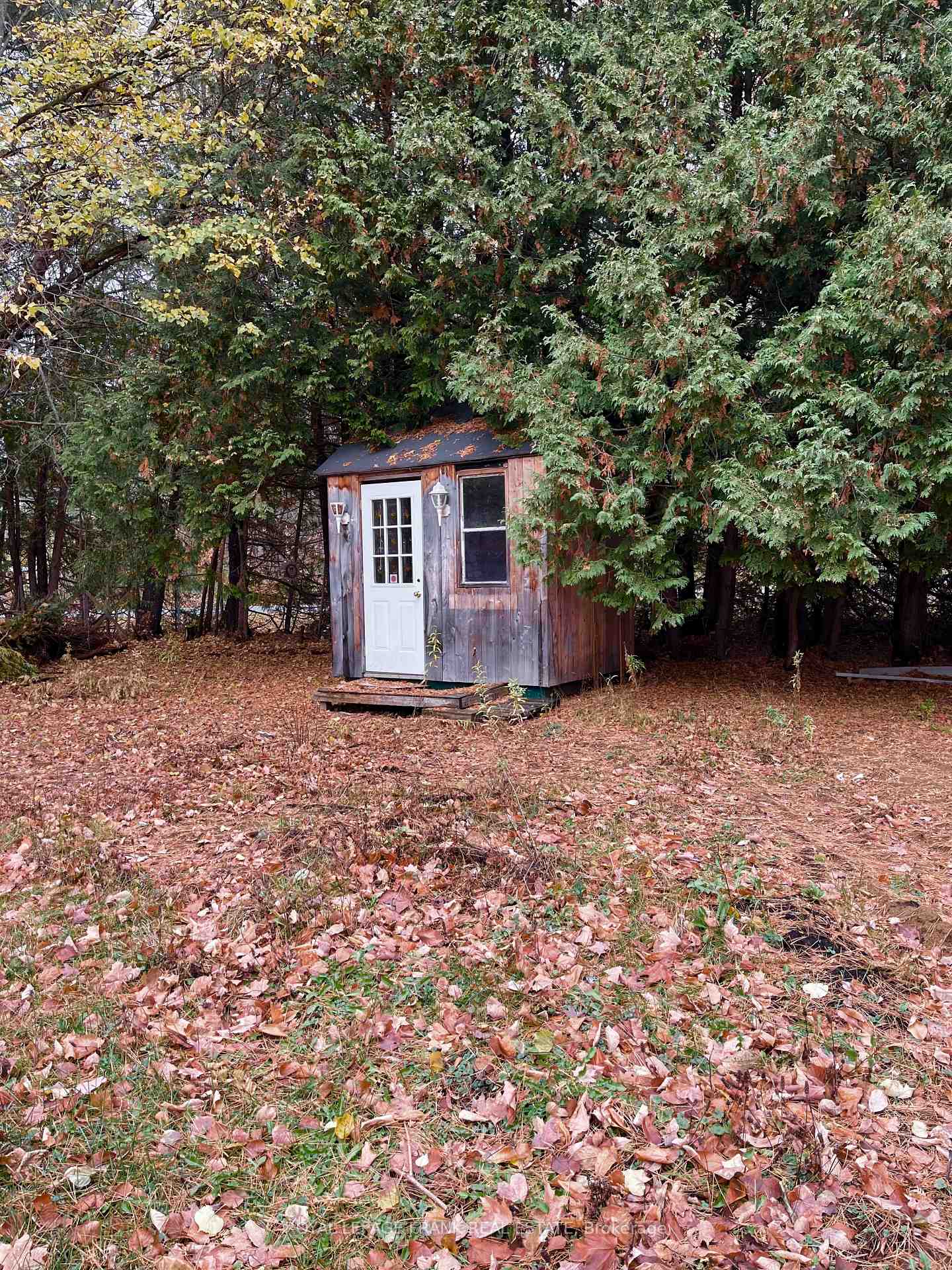 Photo 14 of 4 Jackson Road, Faraday — HOMEH