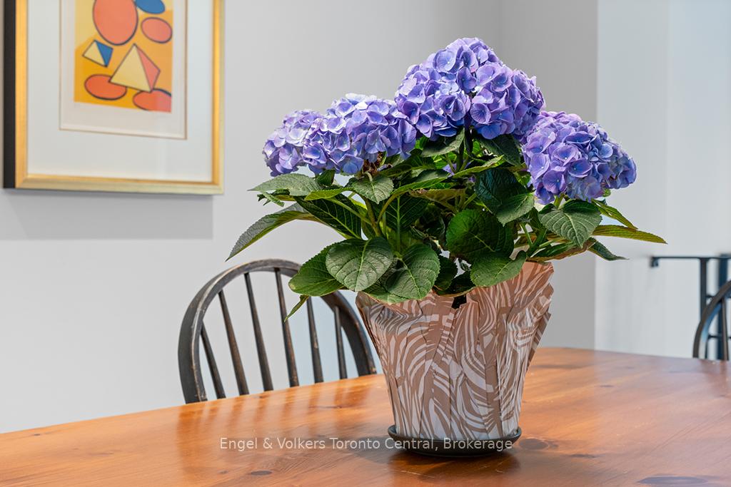 Photo 13 of 559 Tenth Street, Collingwood — HOMEH