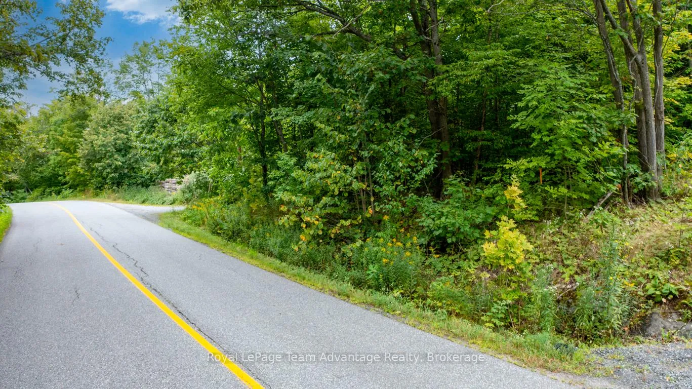 Photo 4 of 33 Pinewood Road, McDougall — HOMEH
