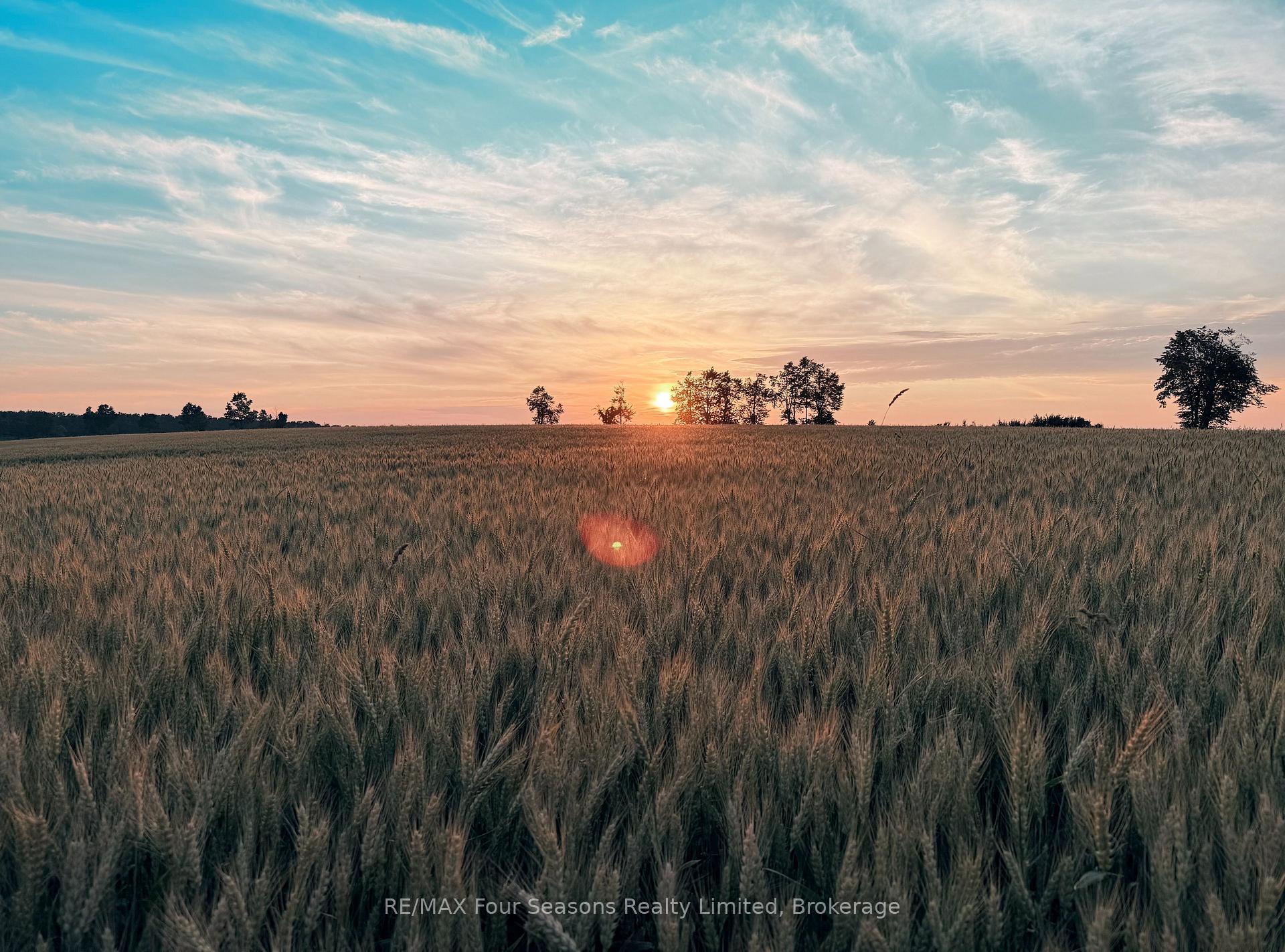 Photo 45 of 1154 Fairgrounds Road S, Clearview, Rural Clearview — HOMEH