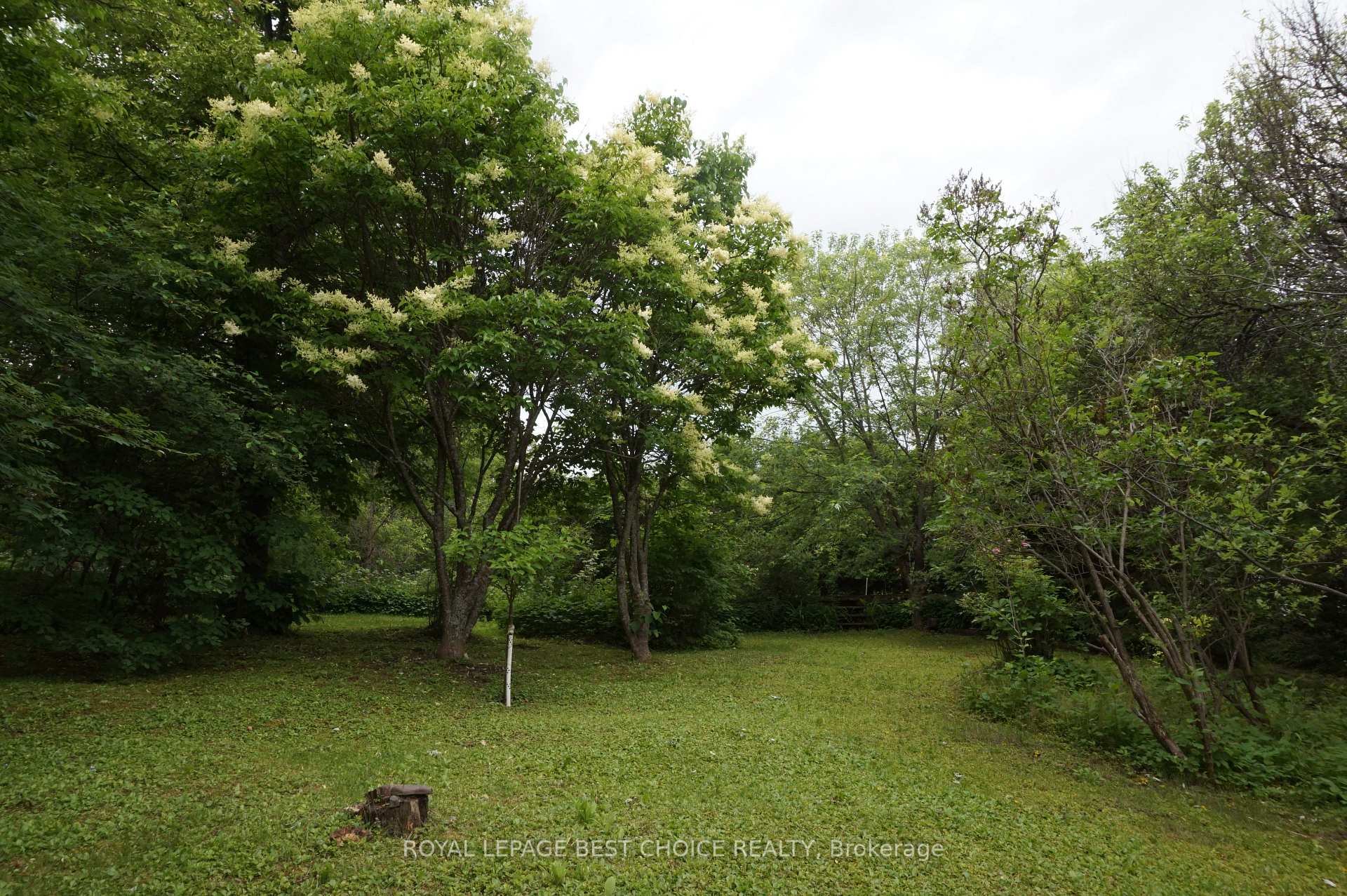 Photo 8 of 748 Lakeshore Road, Temiskaming Shores, Haileybury — HOMEH
