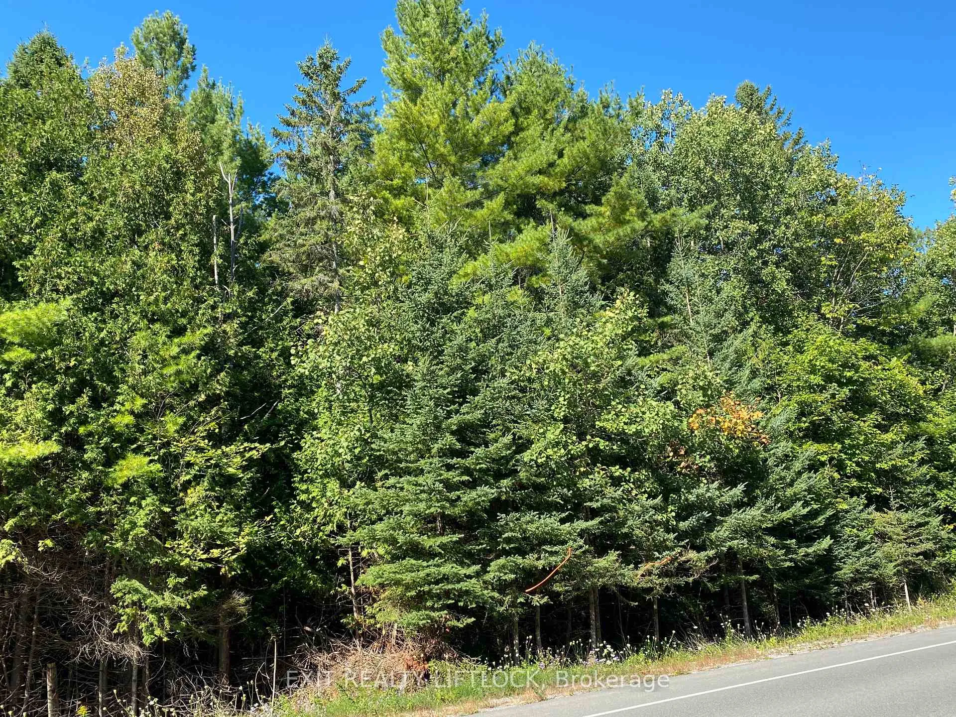 Photo 3 of 590 County Rd 40, Douro-Dummer — HOMEH