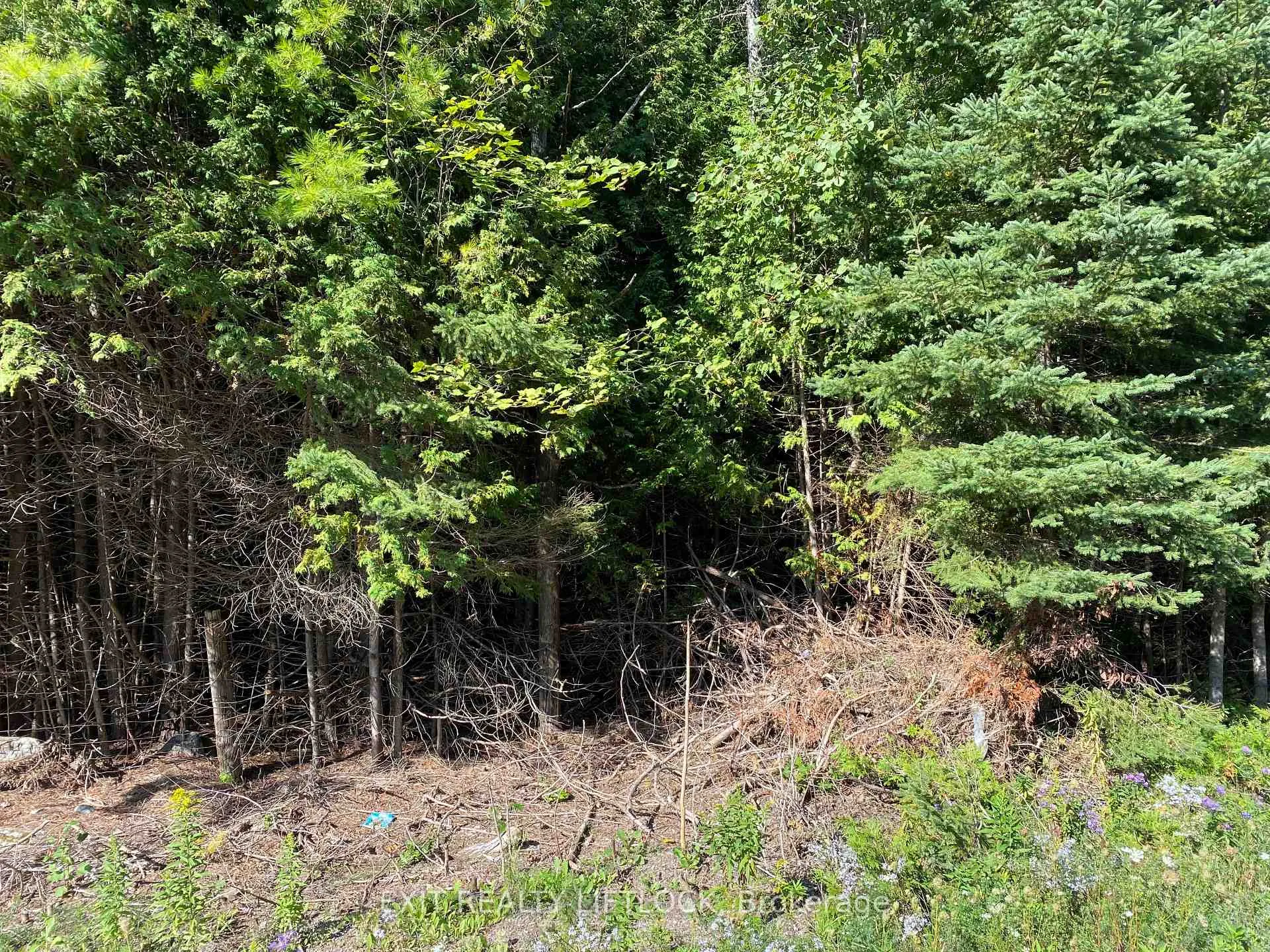Photo 6 of 590 County Rd 40, Douro-Dummer — HOMEH