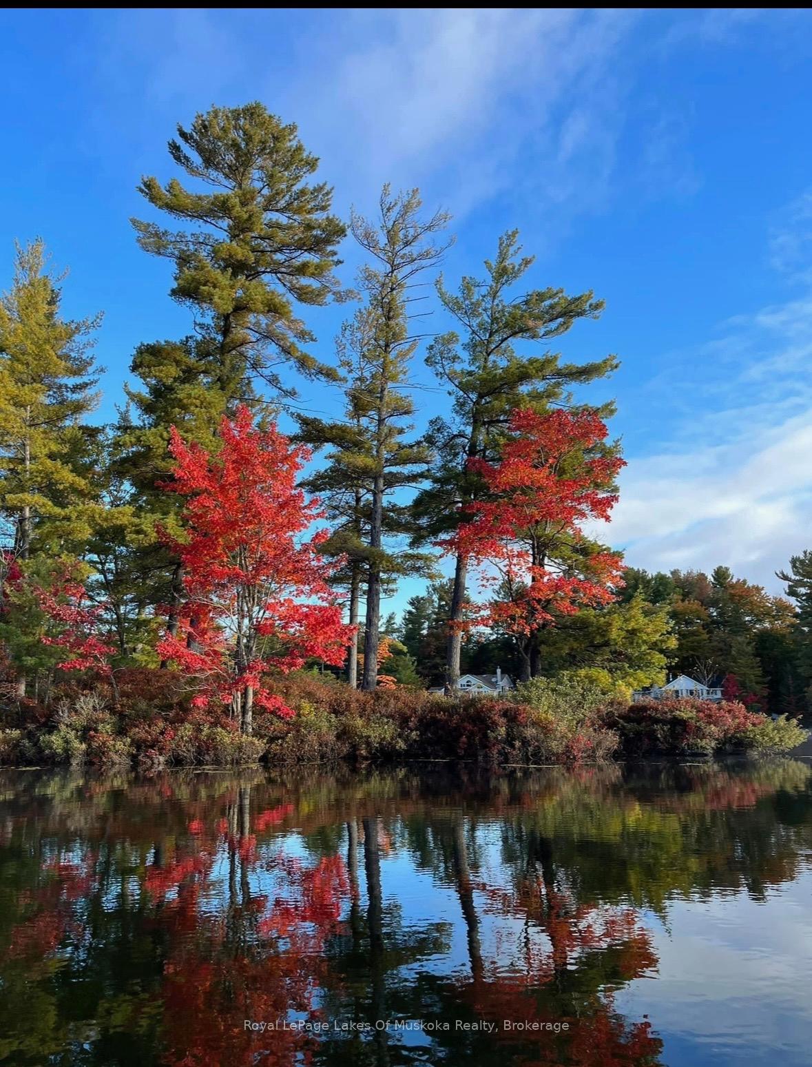 Photo 28 of 1 3LN Berkinshaw Island, Gravenhurst, Muskoka (S) — HOMEH