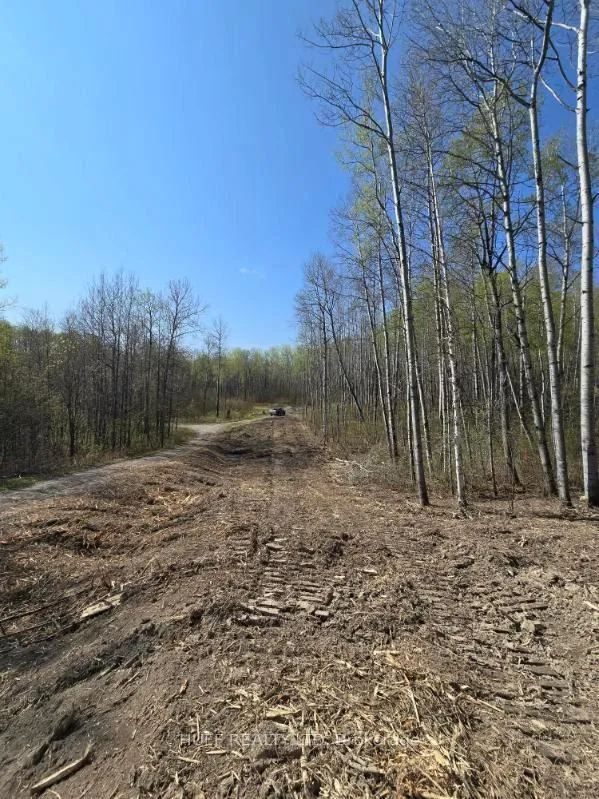 Photo 3 of 211-218 Farrah Avenue, Englehart, Central Timiskaming — HOMEH
