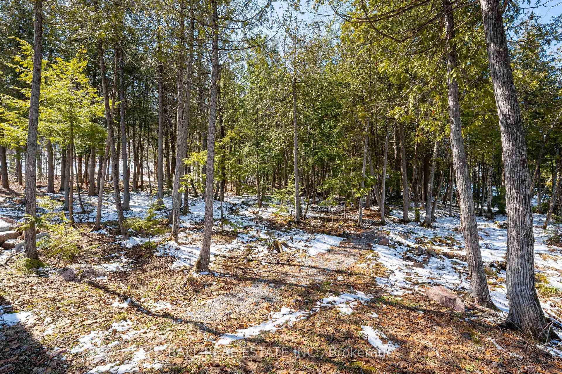 Photo 49 of 3174 + 3170 Spring Lane E, Selwyn — HOMEH