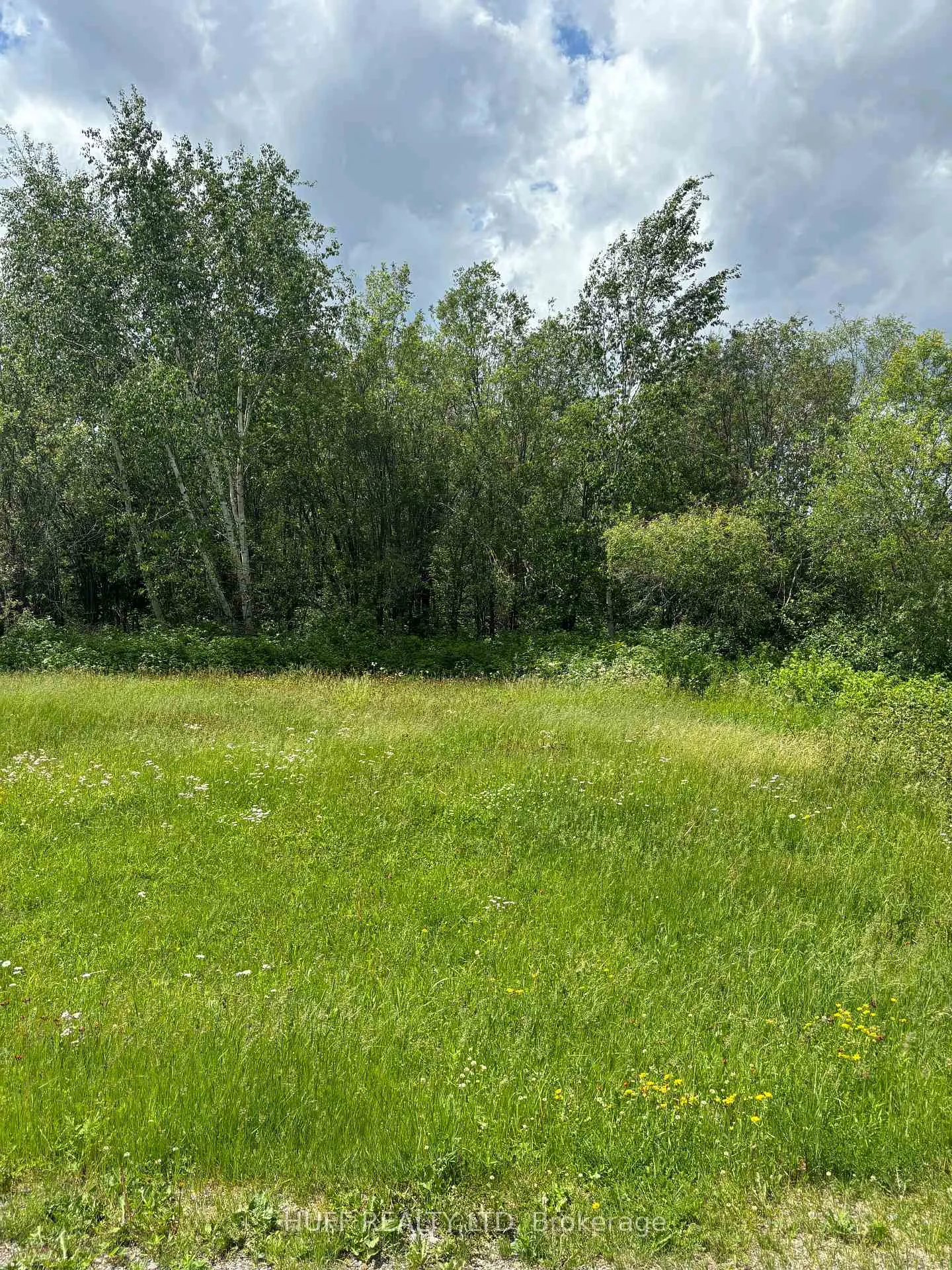 Photo 5 of LT94-95 Nelson Street, Englehart, Central Timiskaming — HOMEH