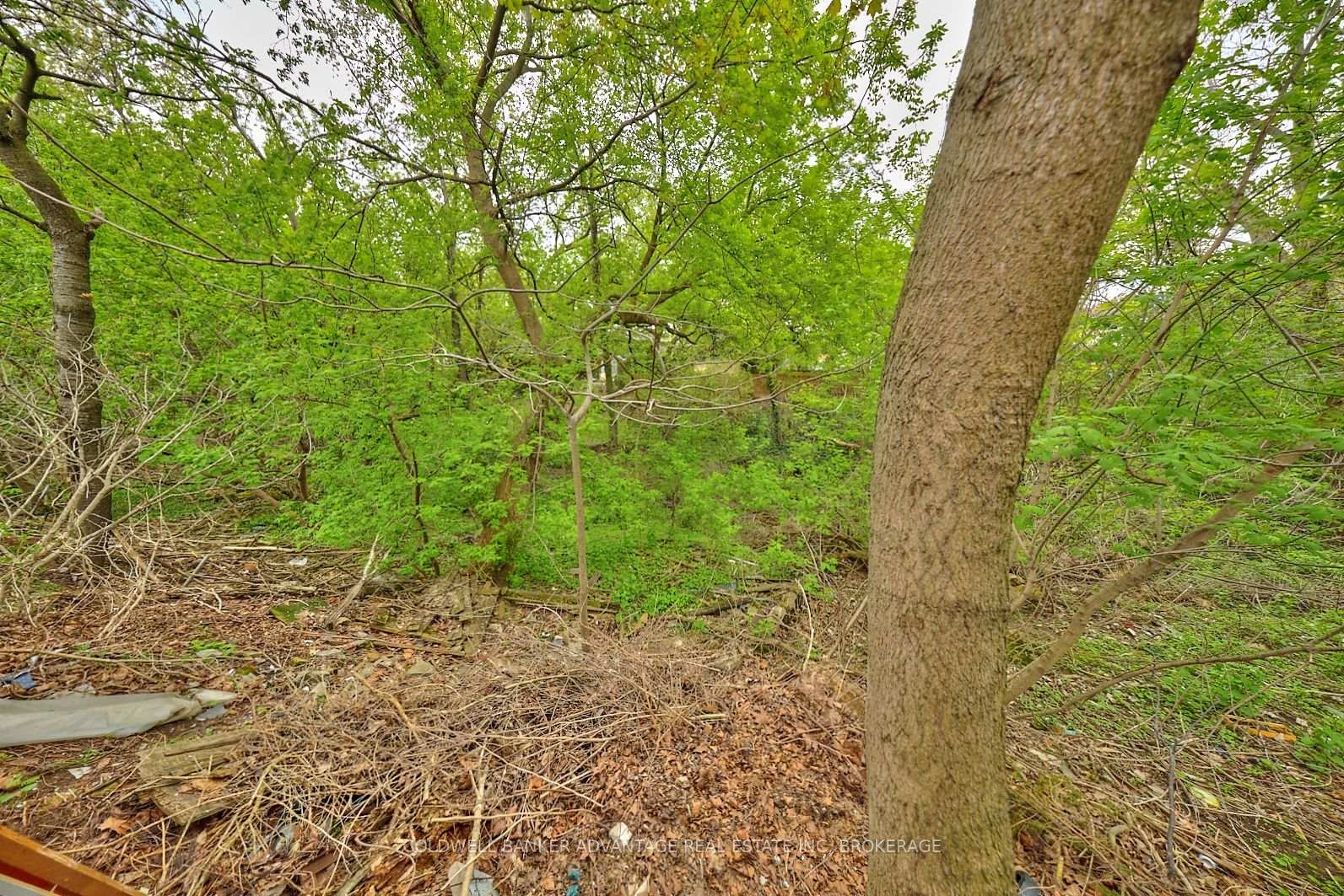 Photo 8 of 40 Kimbermount Drive, St. Catharines, Lakeshore — HOMEH