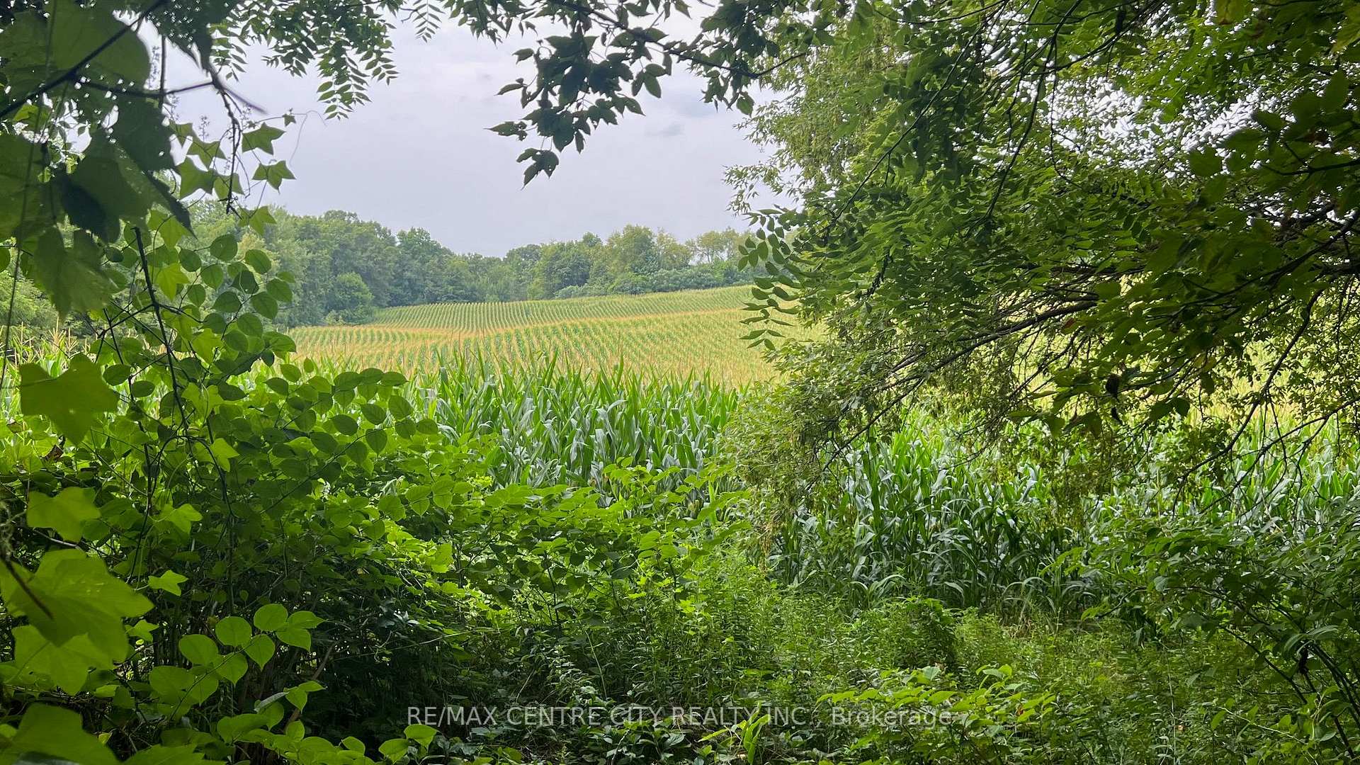 Photo 15 of 845 Collinson Road, Hamilton, Rural Flamborough — HOMEH