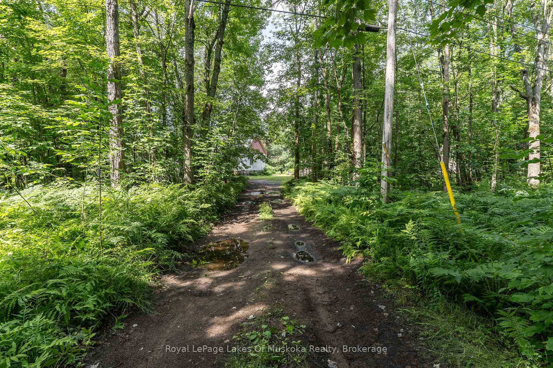 Photo 46 of 1170 North Shore Drive, Gravenhurst, Muskoka (S) — HOMEH