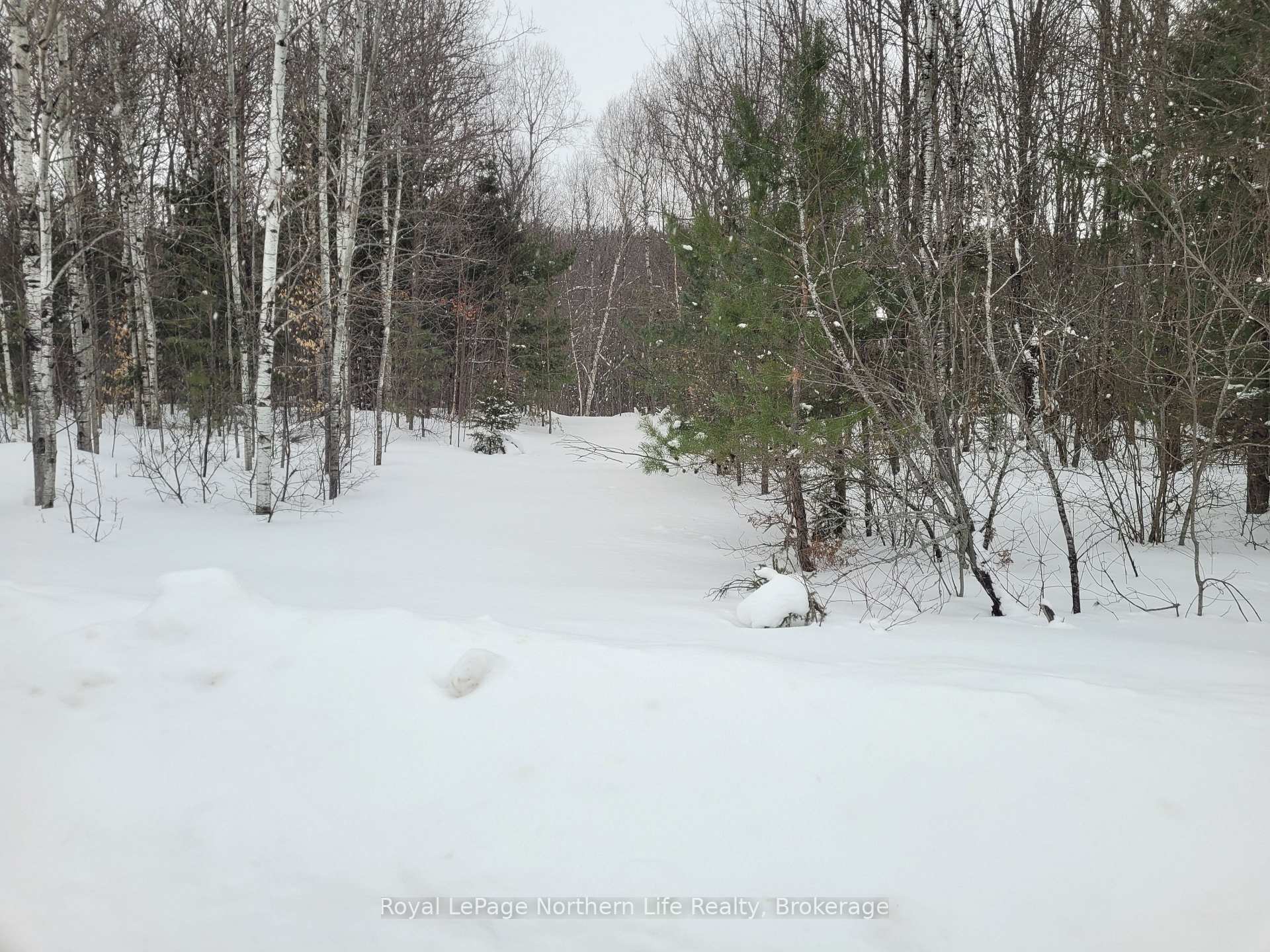 Photo 1 of Lt 30 Con 1 Boundary Road, Bonfield — HOMEH