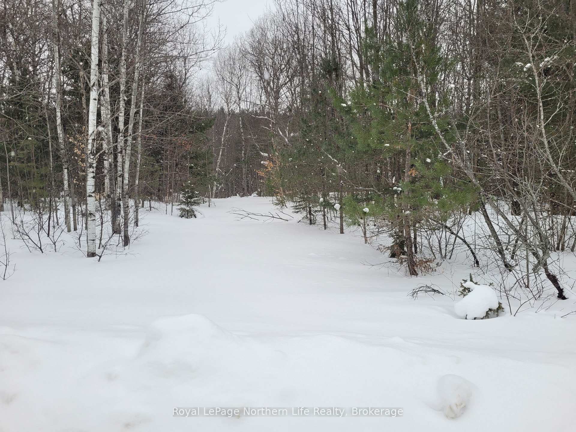 Photo 5 of Lt 30 Con 1 Boundary Road, Bonfield — HOMEH