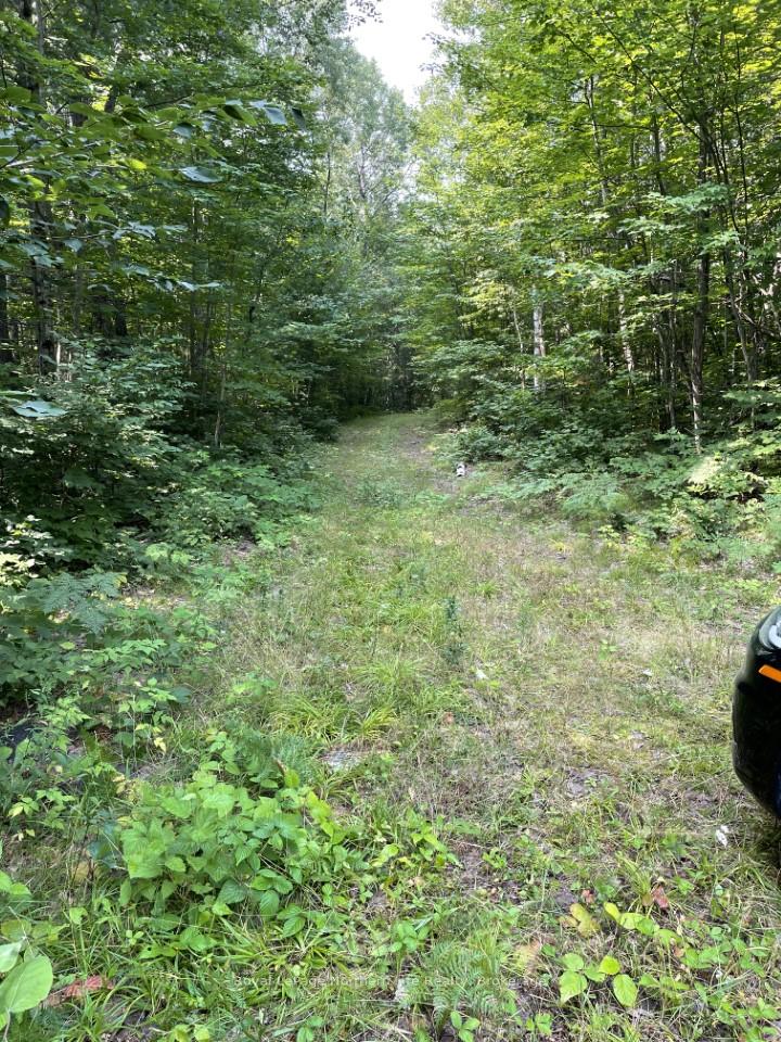 Photo 10 of Lt 30 Con 1 Boundary Road, Bonfield — HOMEH