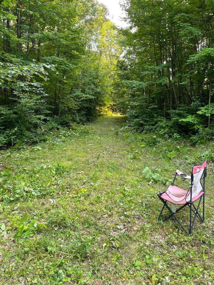 Photo 11 of Lt 30 Con 1 Boundary Road, Bonfield — HOMEH
