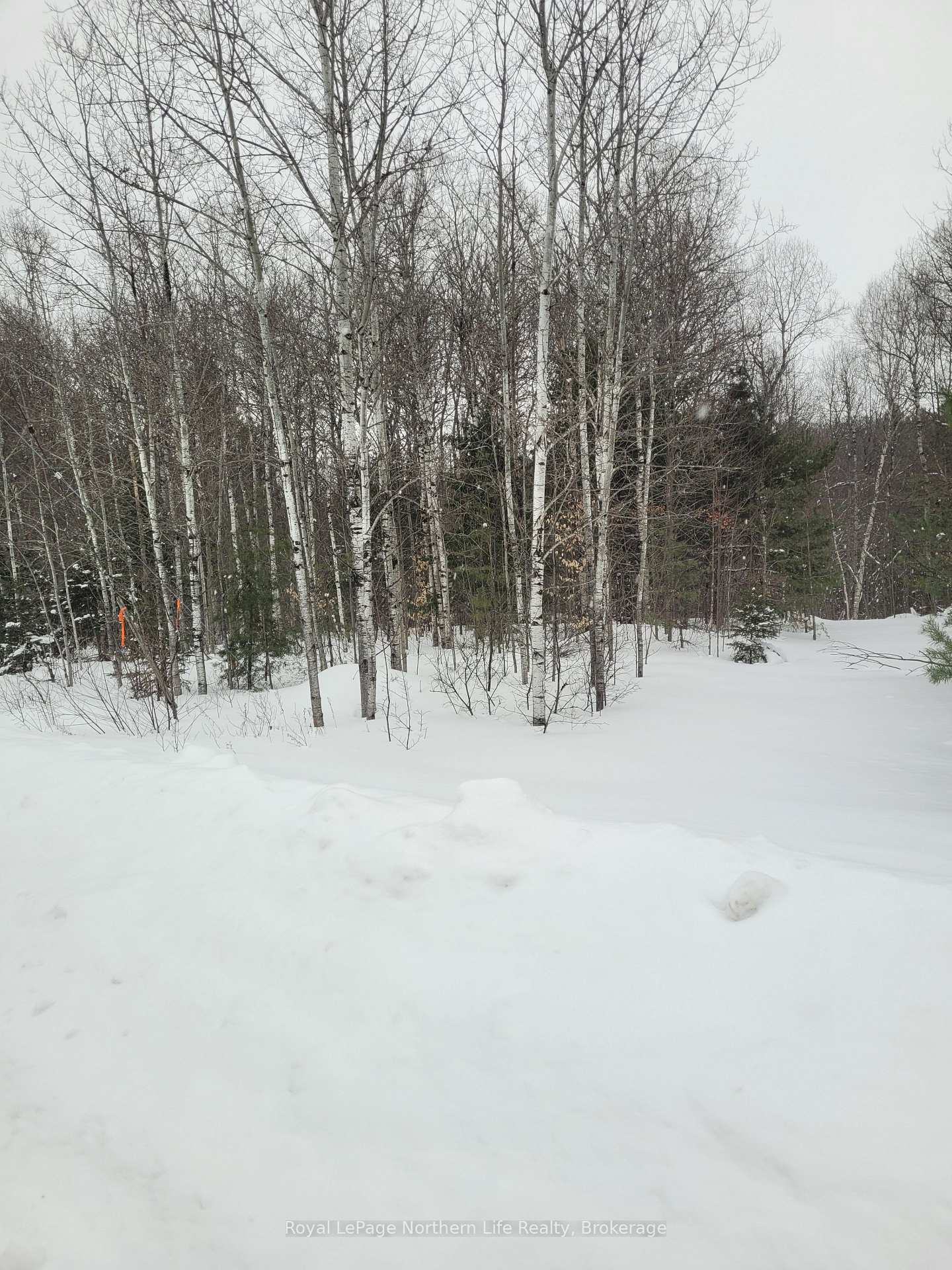 Photo 12 of Lt 30 Con 1 Boundary Road, Bonfield — HOMEH
