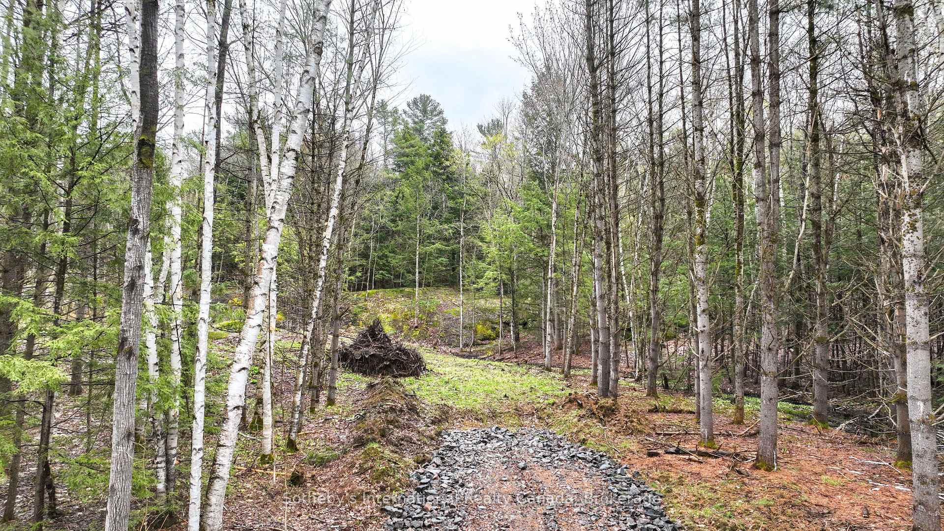 Photo 2 of 1735 Kilworthy Road, Gravenhurst, Morrison — HOMEH