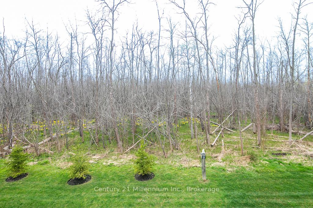 Photo 54 of 54 Kari Crescent, Collingwood — HOMEH