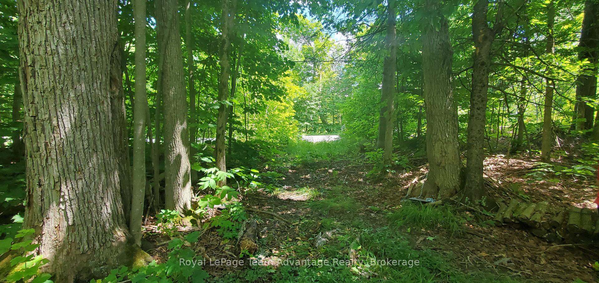Front of 22 Sunnyshore Park Drive