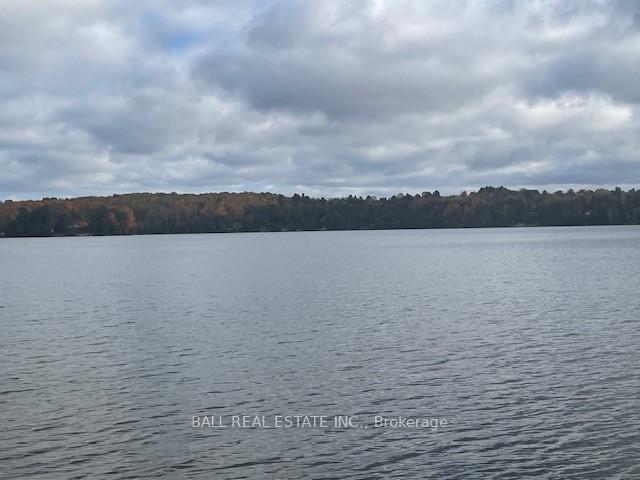 Photo 28 of 1975 White Lake Road W, Douro-Dummer — HOMEH