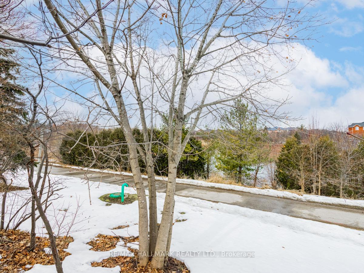 Photo 45 of 26 Mountainberry Road, Brampton, Sandringham-Wellington — HOMEH