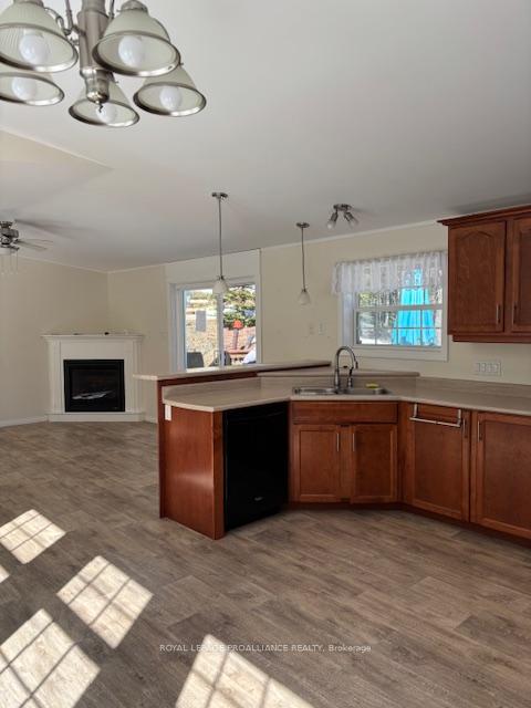 Photo 15 of 230 Coe Island Lake Road, Faraday — HOMEH