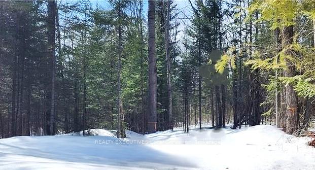 Photo 1 of 159 Maple Road, Bonfield — HOMEH