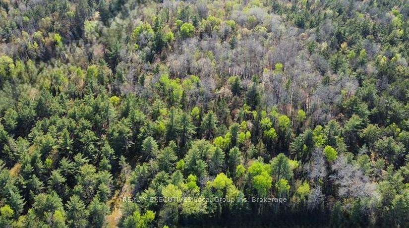 Photo 2 of 159 Maple Road, Bonfield — HOMEH