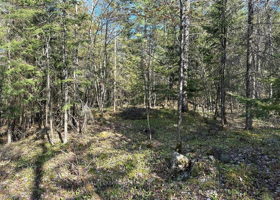 Photo 3 of 159 Maple Road, Bonfield — HOMEH