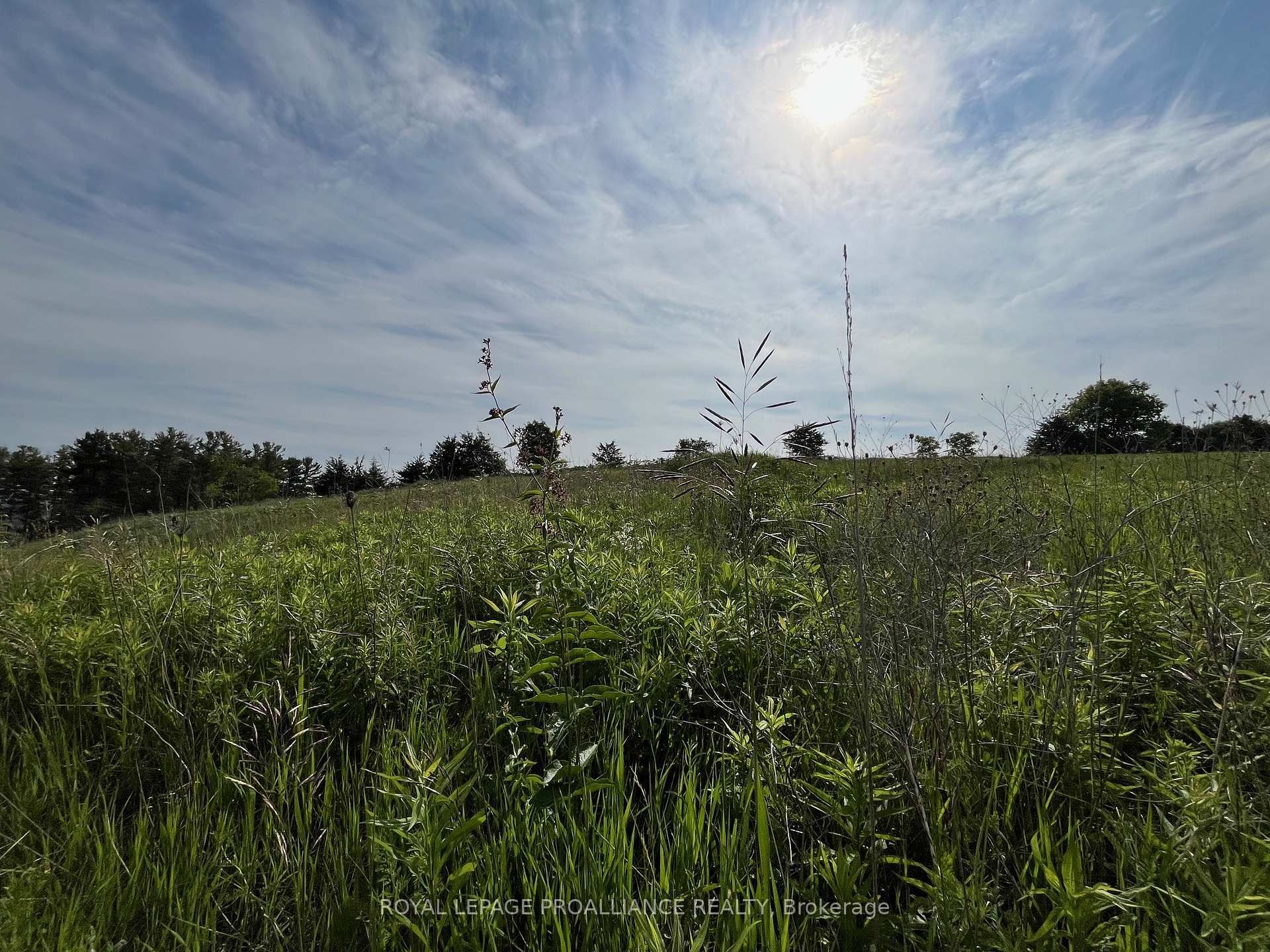 Photo 4 of Lot 22 McCarty Drive, Cobourg — HOMEH