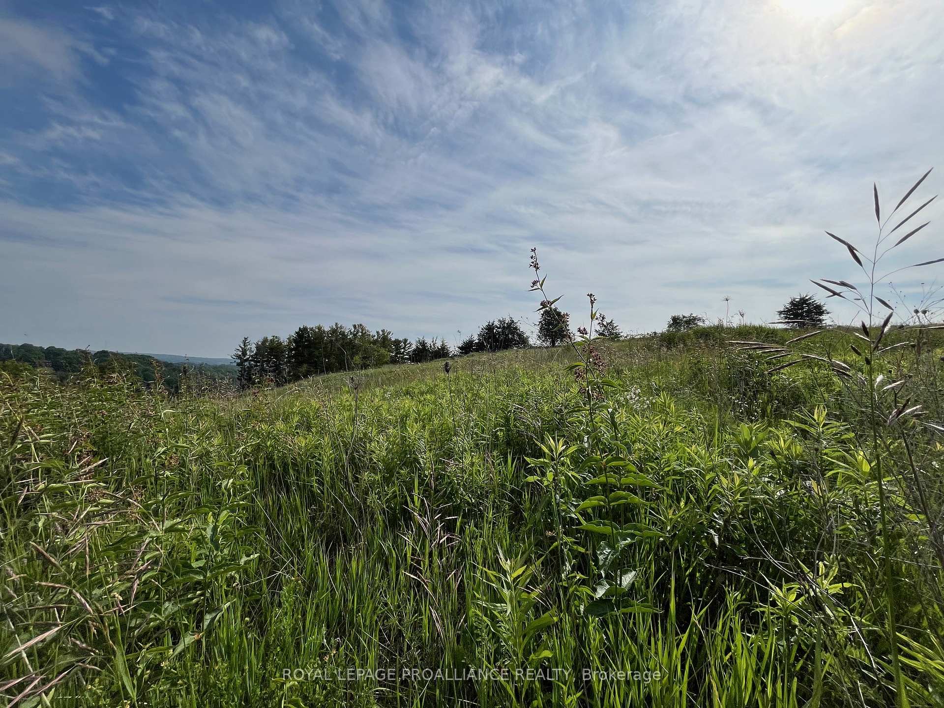 Photo 5 of Lot 22 McCarty Drive, Cobourg — HOMEH