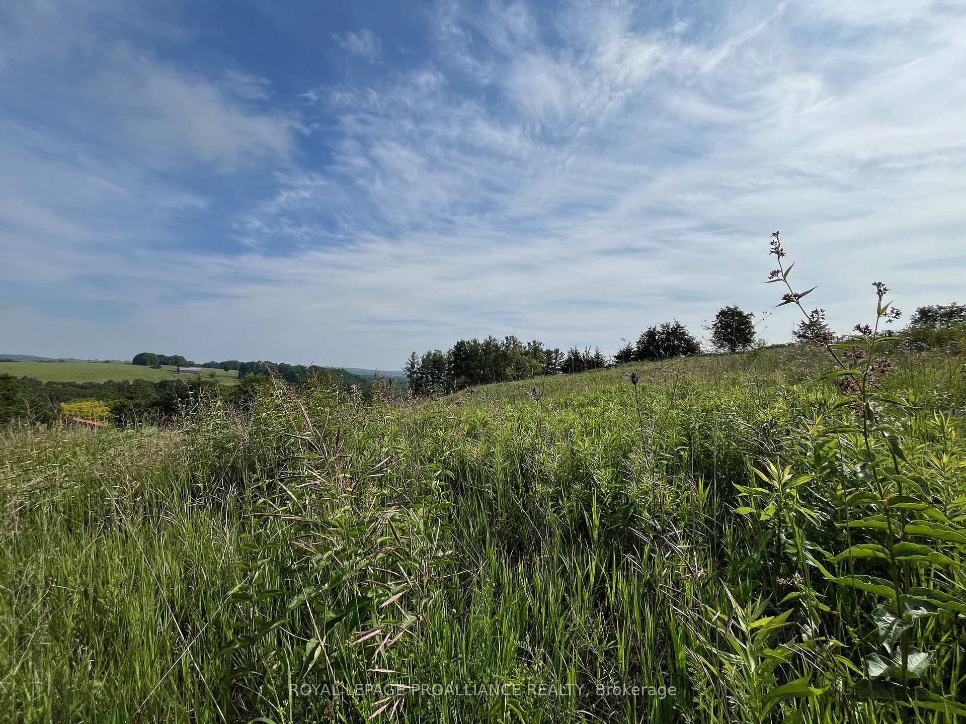 Photo 6 of Lot 22 McCarty Drive, Cobourg — HOMEH