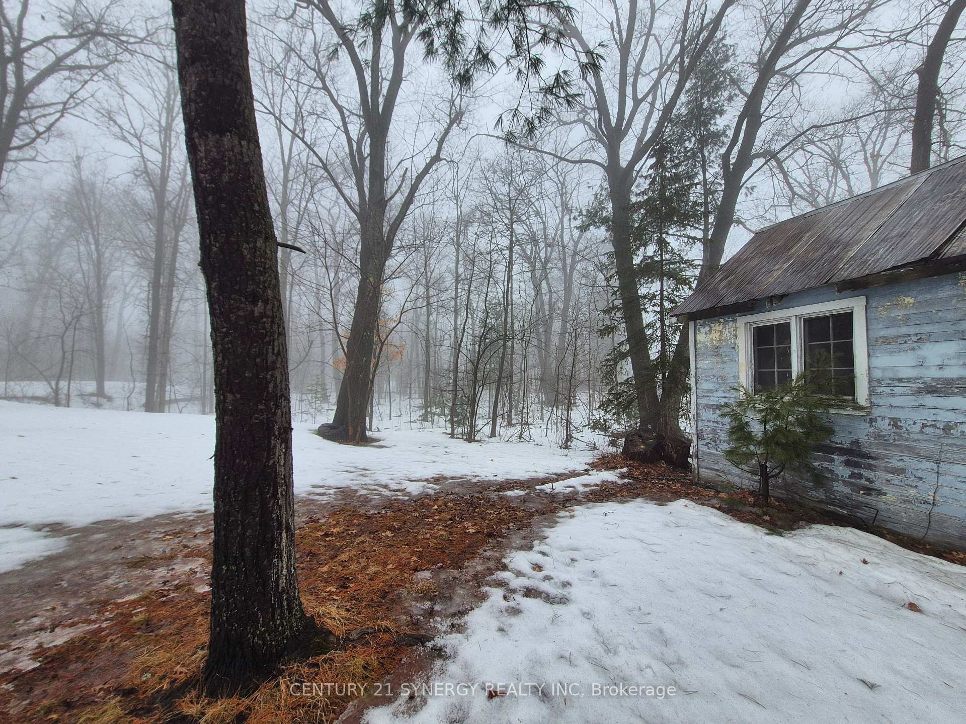 Photo 3 of 149 Lane Street, Ottawa, Constance Bay — HOMEH