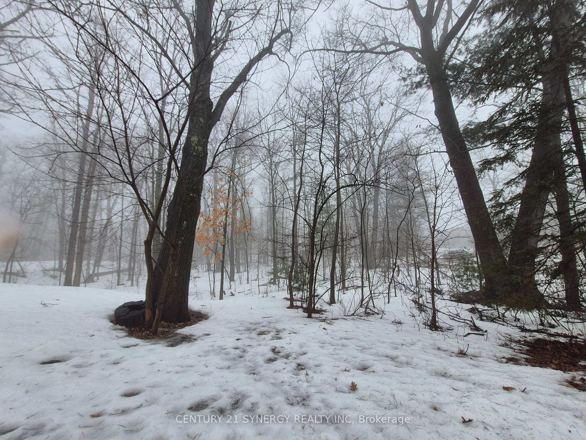 Photo 4 of 149 Lane Street, Ottawa, Constance Bay — HOMEH
