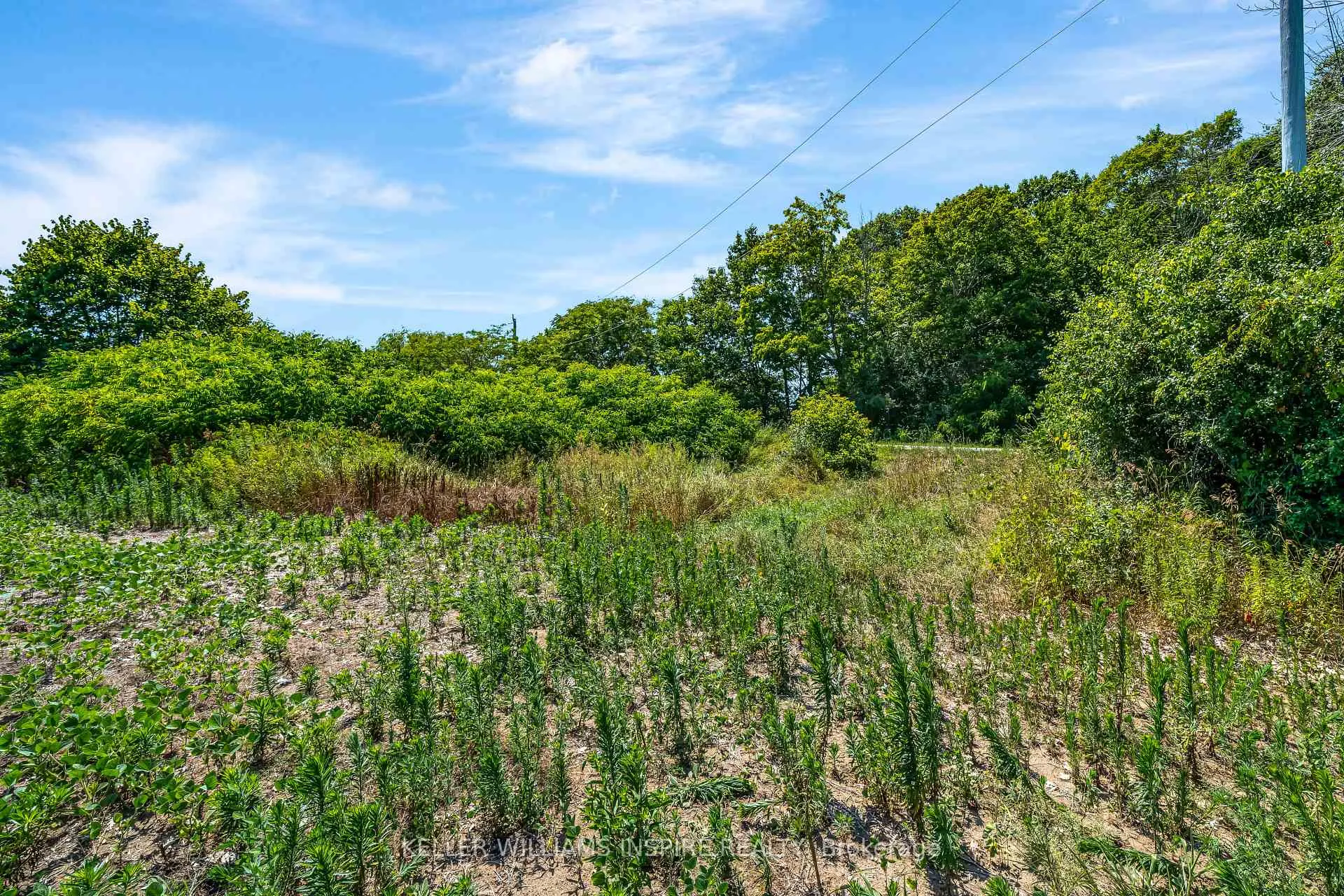 Photo 23 of 00 Loyalist Parkway, Prince Edward County, Hillier Ward — HOMEH