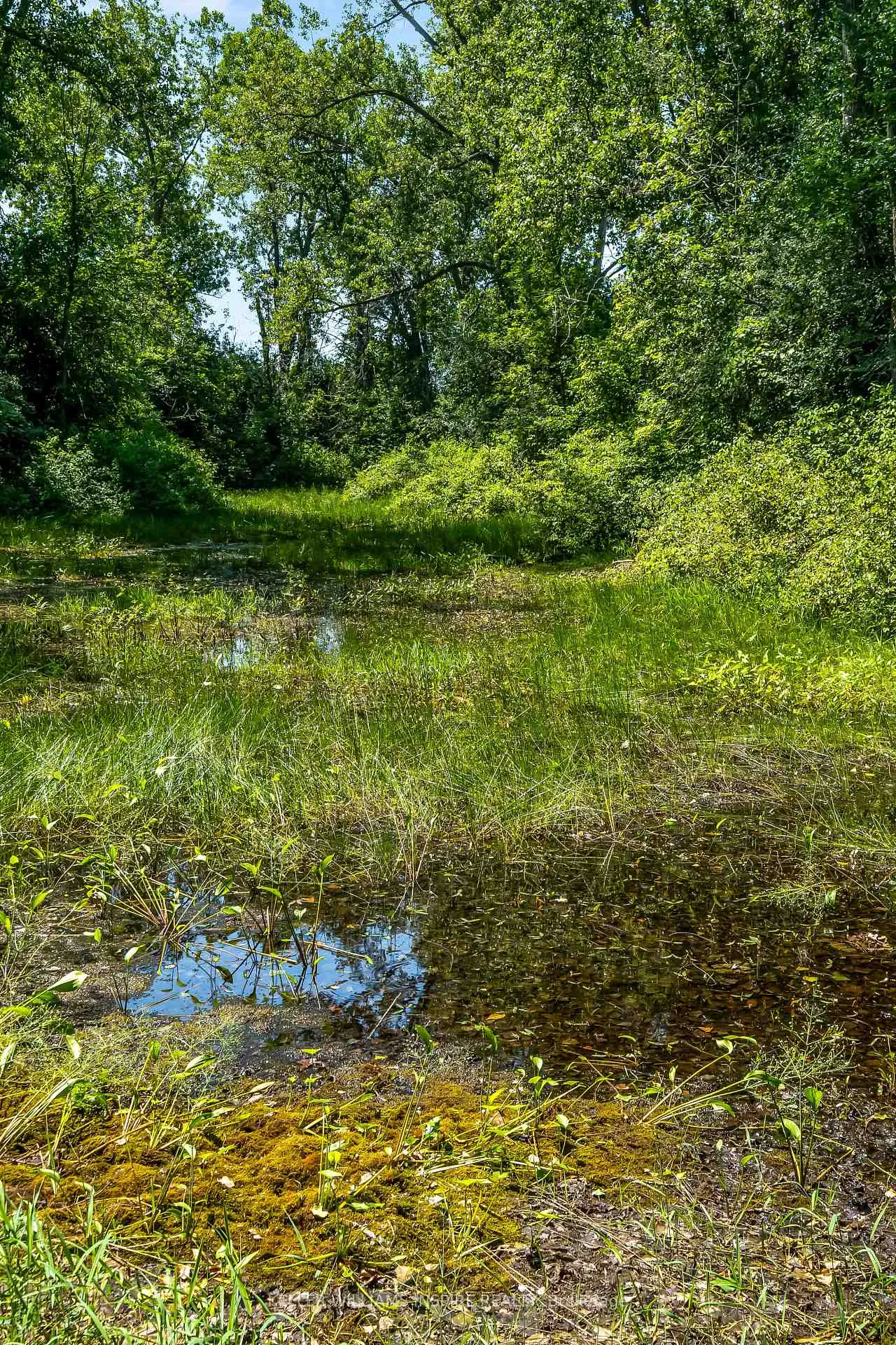 Photo 25 of 00 Loyalist Parkway, Prince Edward County, Hillier Ward — HOMEH