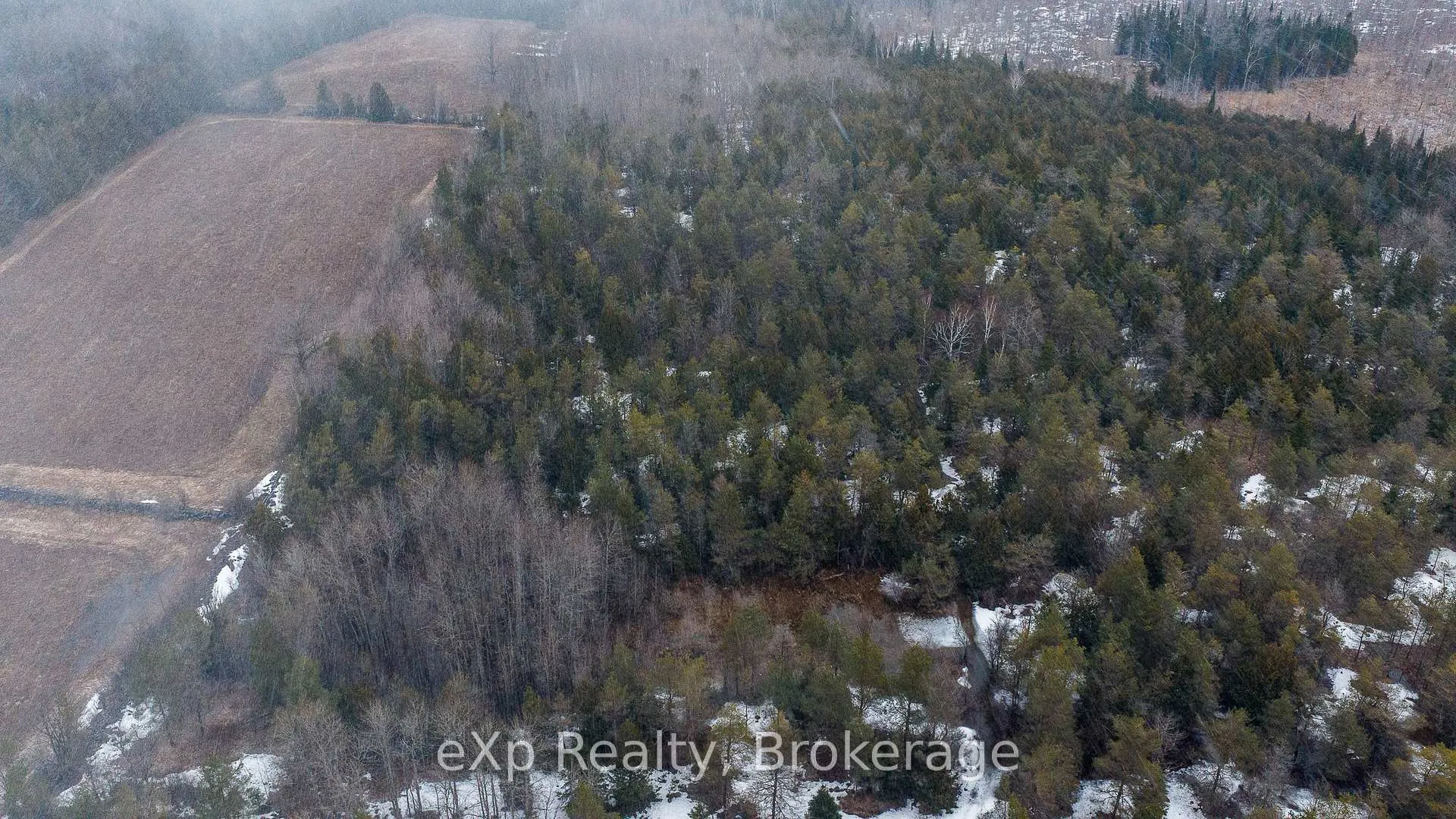 Photo 6 of 736073 West Back Line, Chatsworth — HOMEH