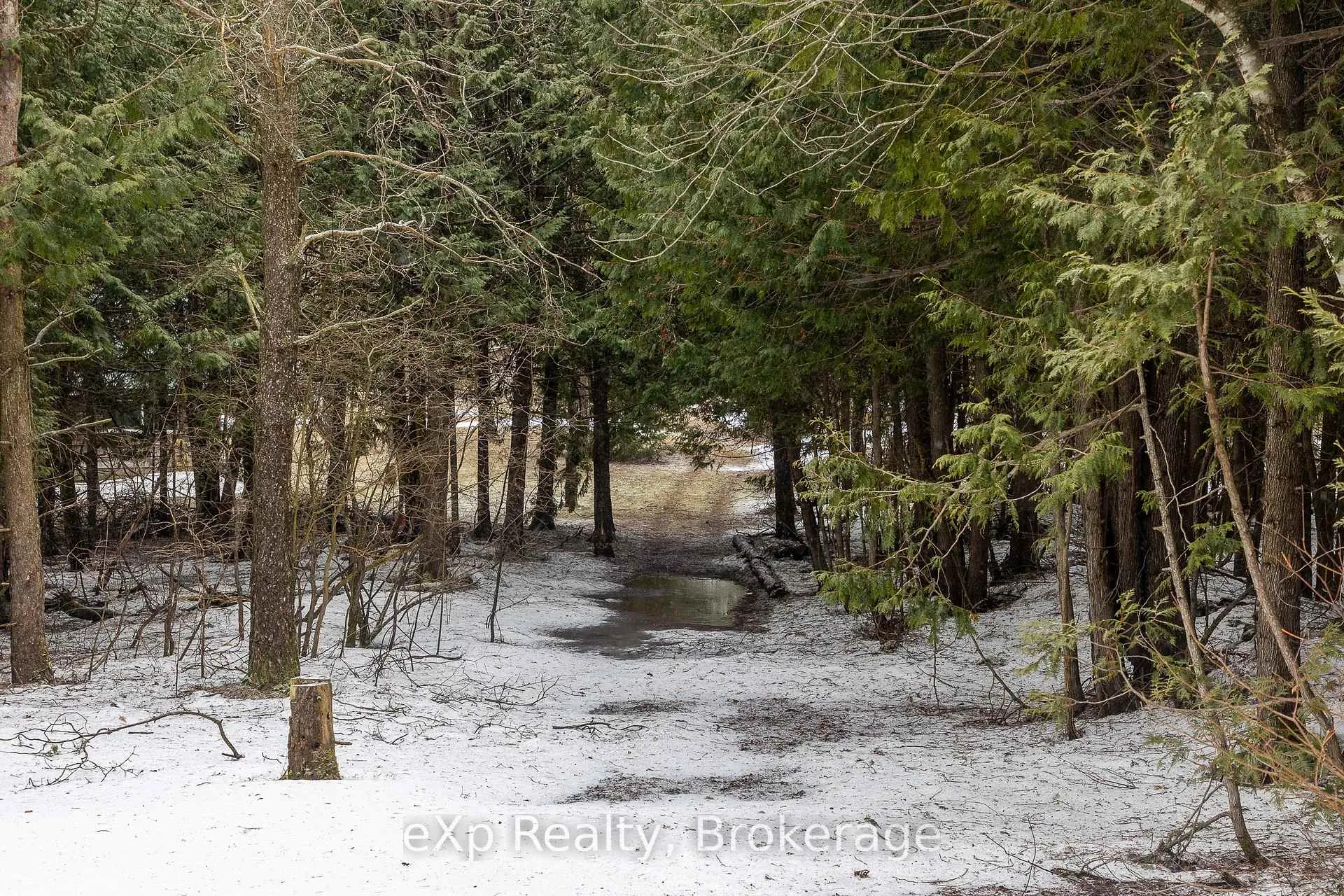 Photo 13 of 736073 West Back Line, Chatsworth — HOMEH