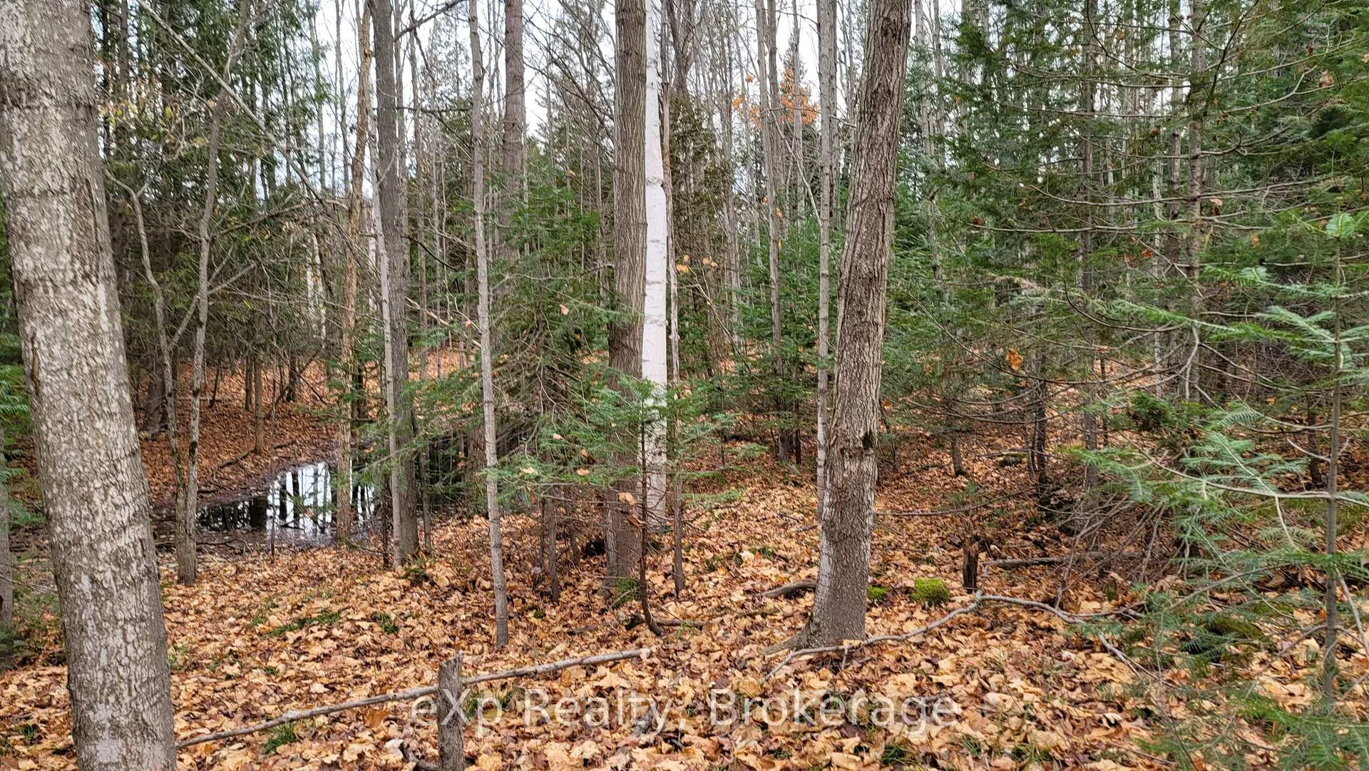 Photo 24 of 736073 West Back Line, Chatsworth — HOMEH