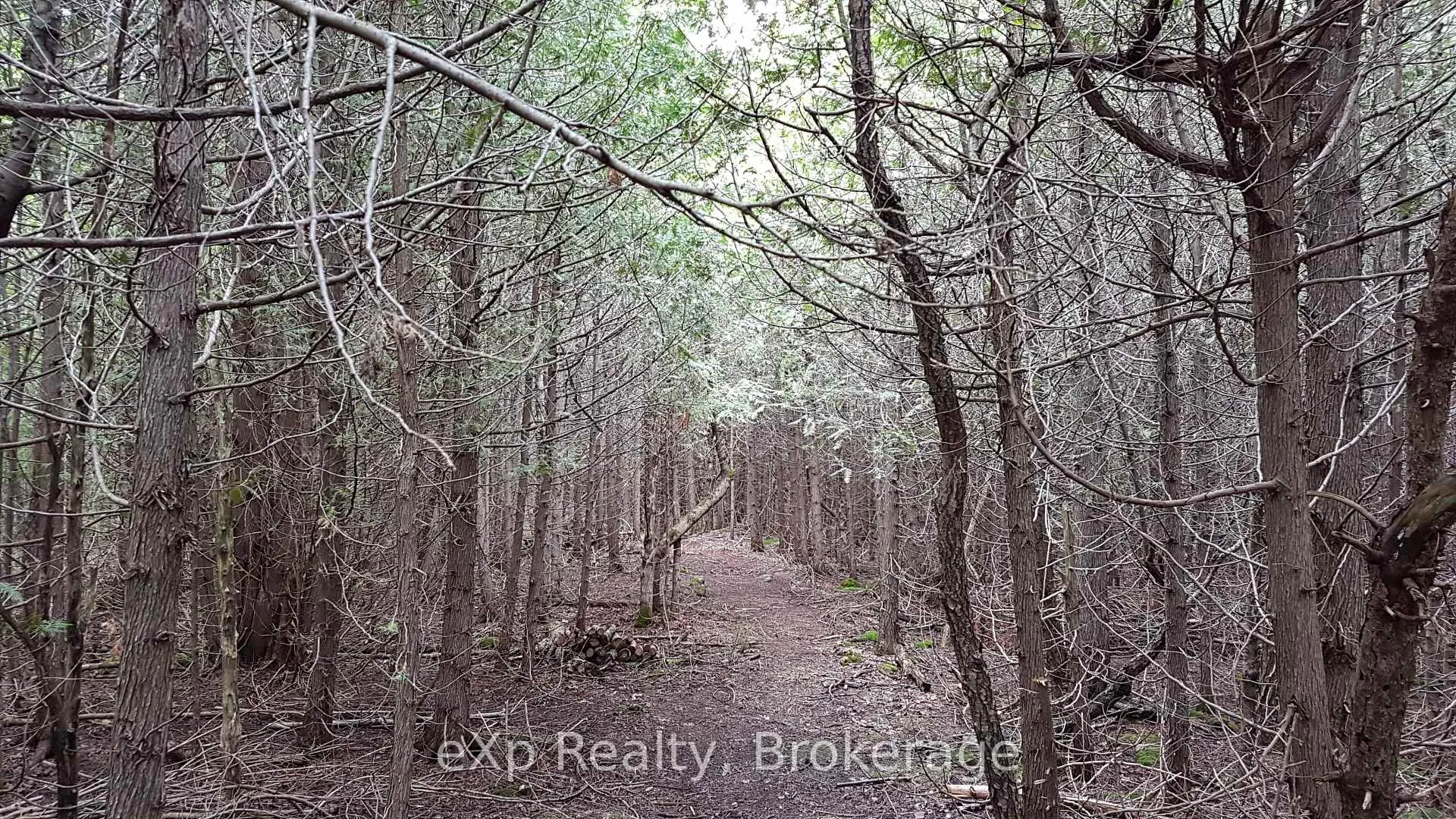 Photo 25 of 736073 West Back Line, Chatsworth — HOMEH