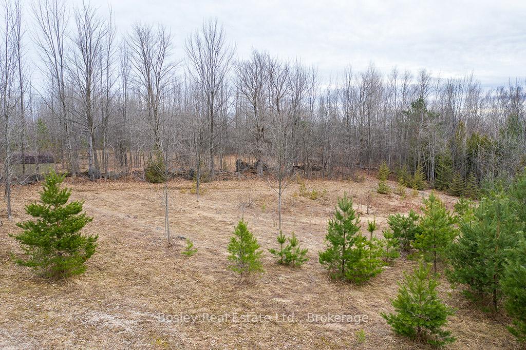 Photo 9 of LT11-12 10 Side Road, Chatsworth — HOMEH