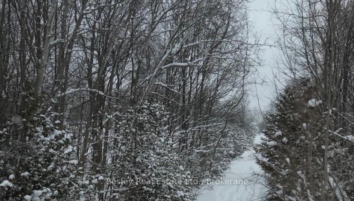 Photo 16 of LT11-12 10 Side Road, Chatsworth — HOMEH