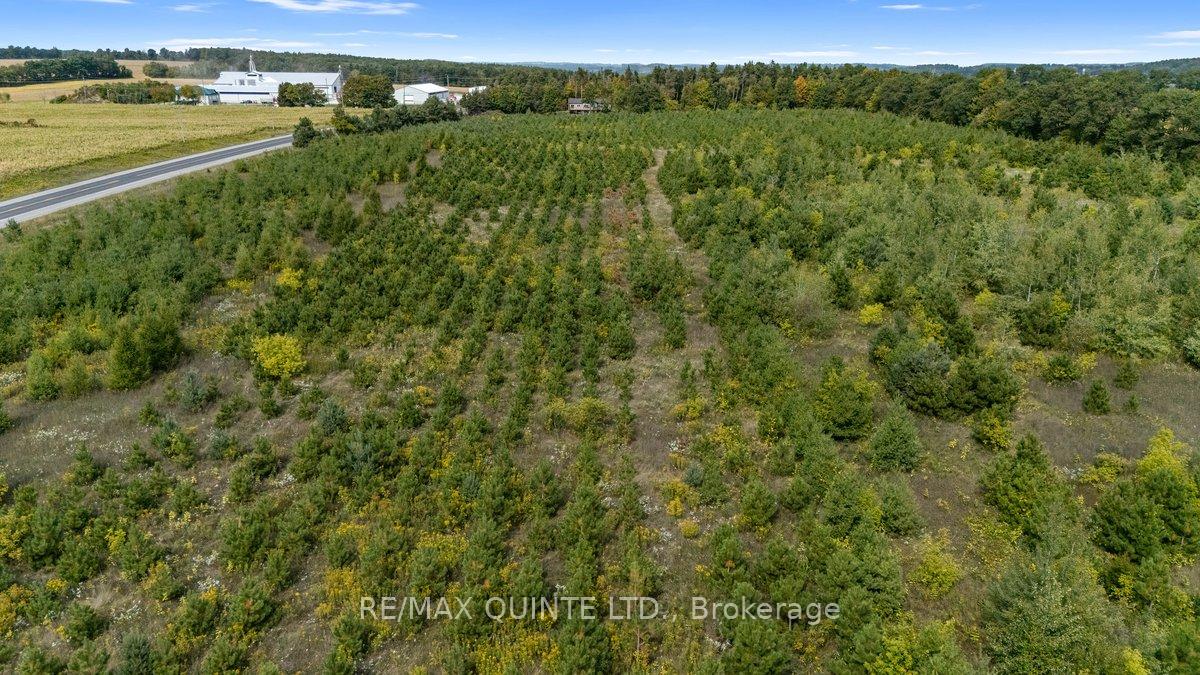 Photo 8 of County Road 25, Cramahe, Rural Cramahe — HOMEH